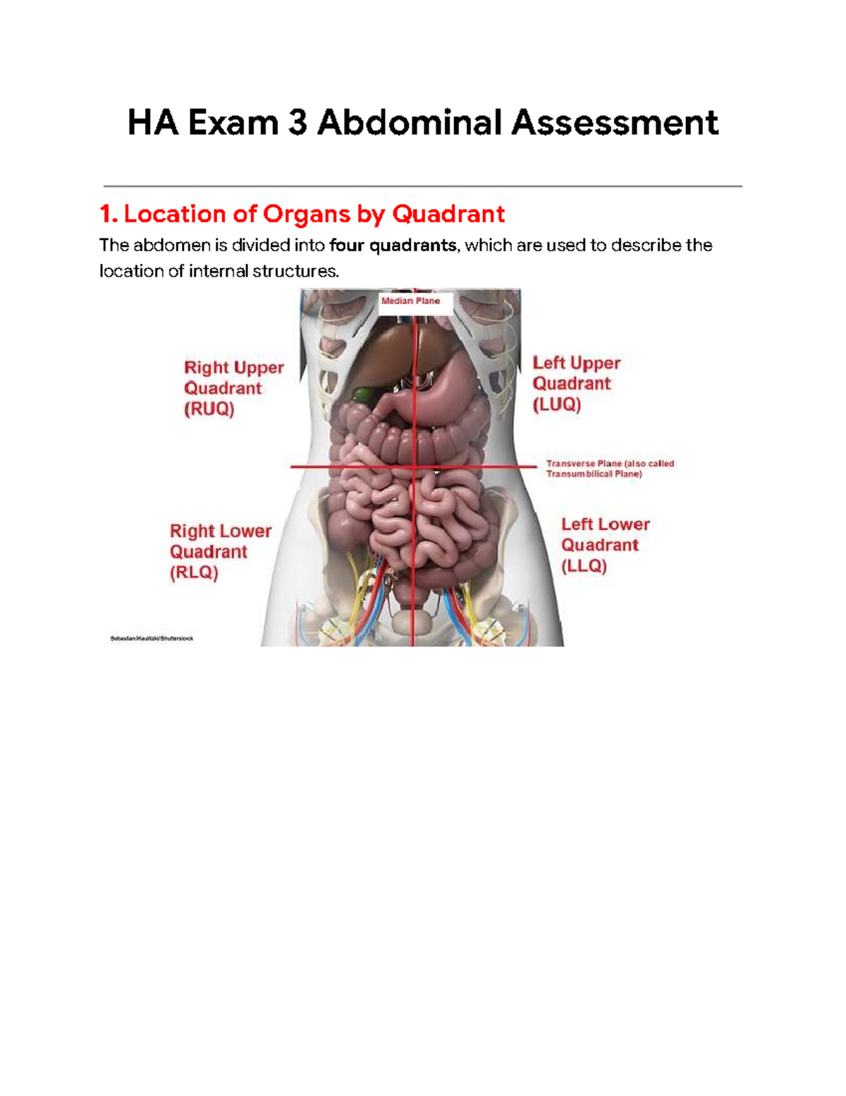 HA Exam 3: Comprehensive Guide to Abdominal Assessment Techniques - Studocu