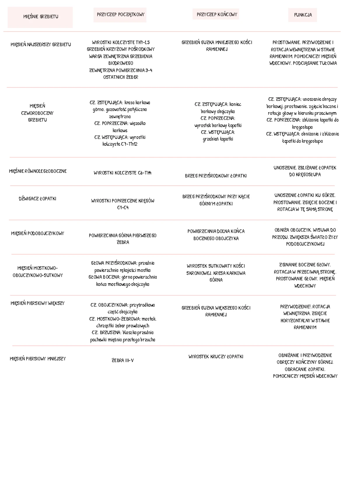 Anatomia Palpacyjna - Mięśnie Obręczy Kończyny Dolnej i Ich Funkcje