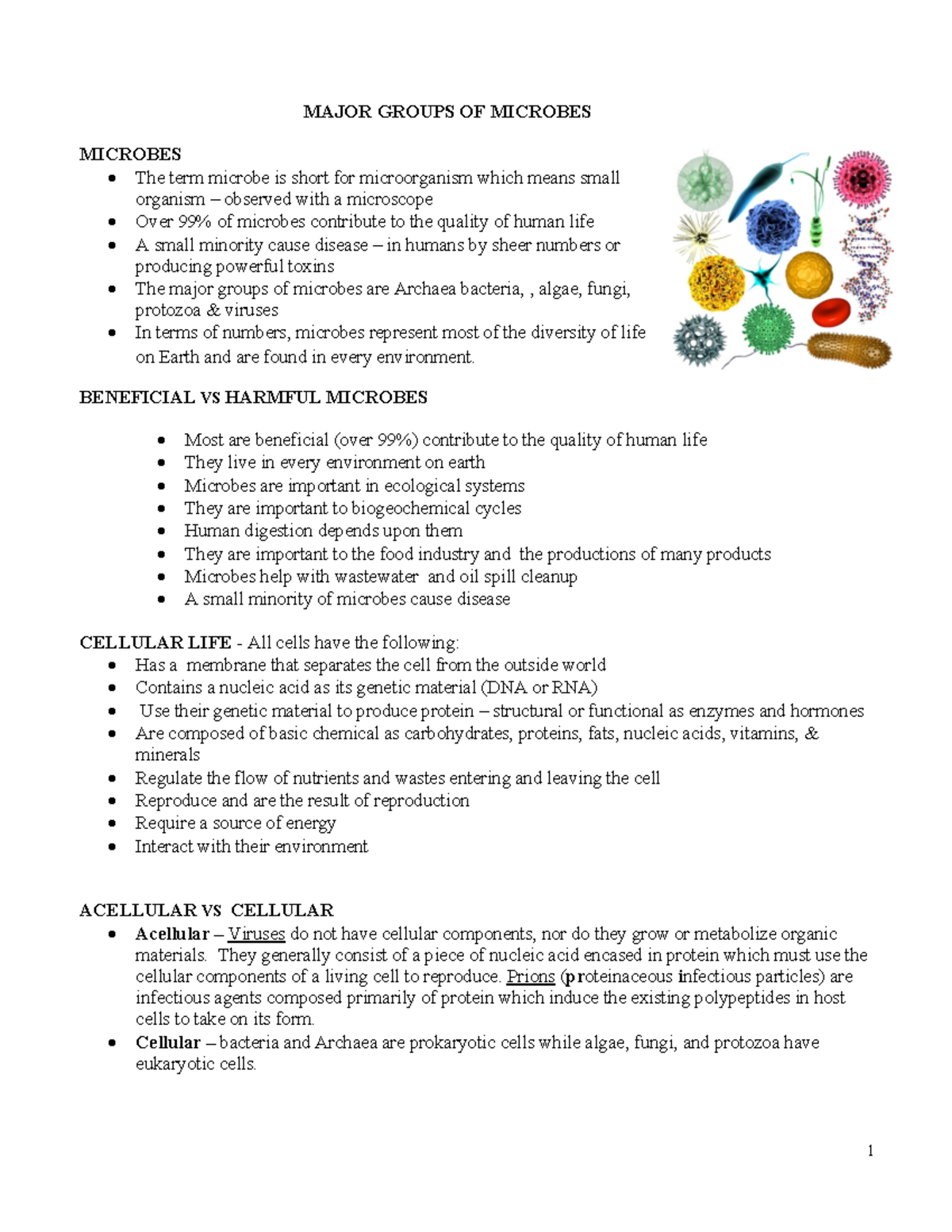 3-17 Major Groups of Microbes: Benefits, Characteristics, and Types ...