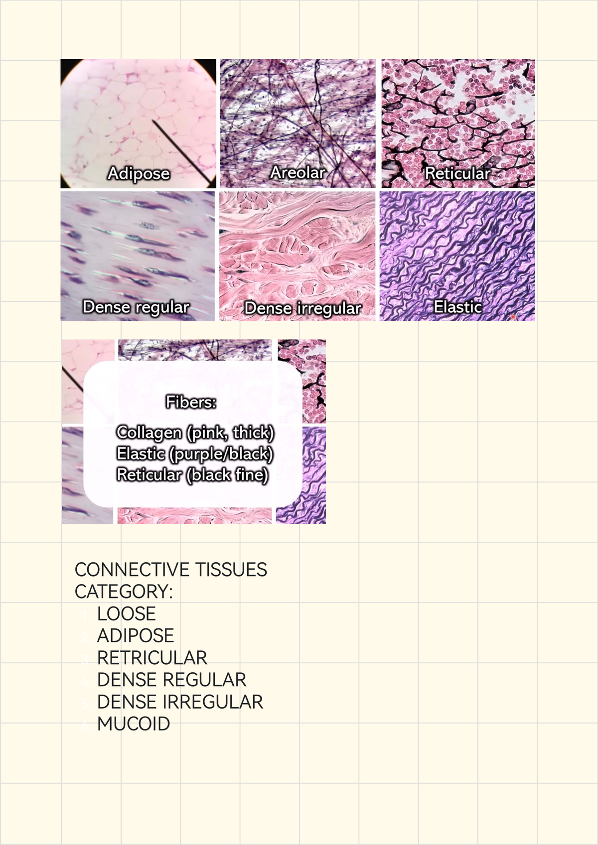 HISTO CONNECTIVE TISSUE: Types & Characteristics of Connective Tissues ...