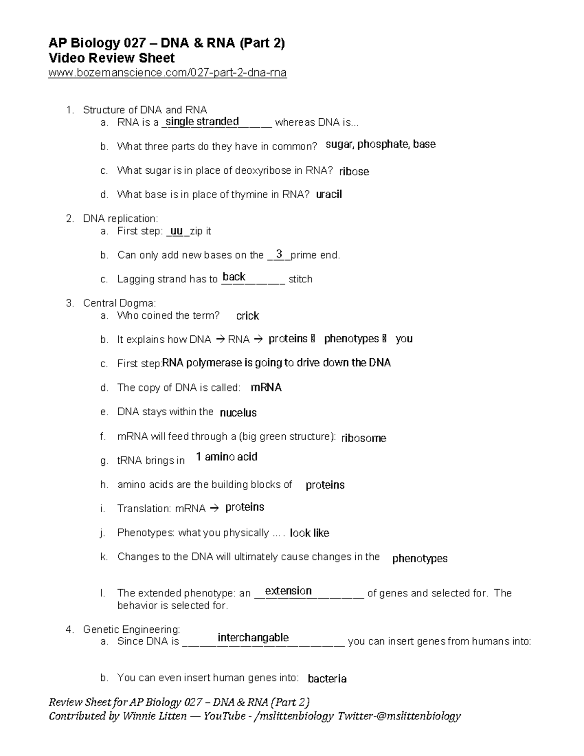 Biologia Dna I Rna Test