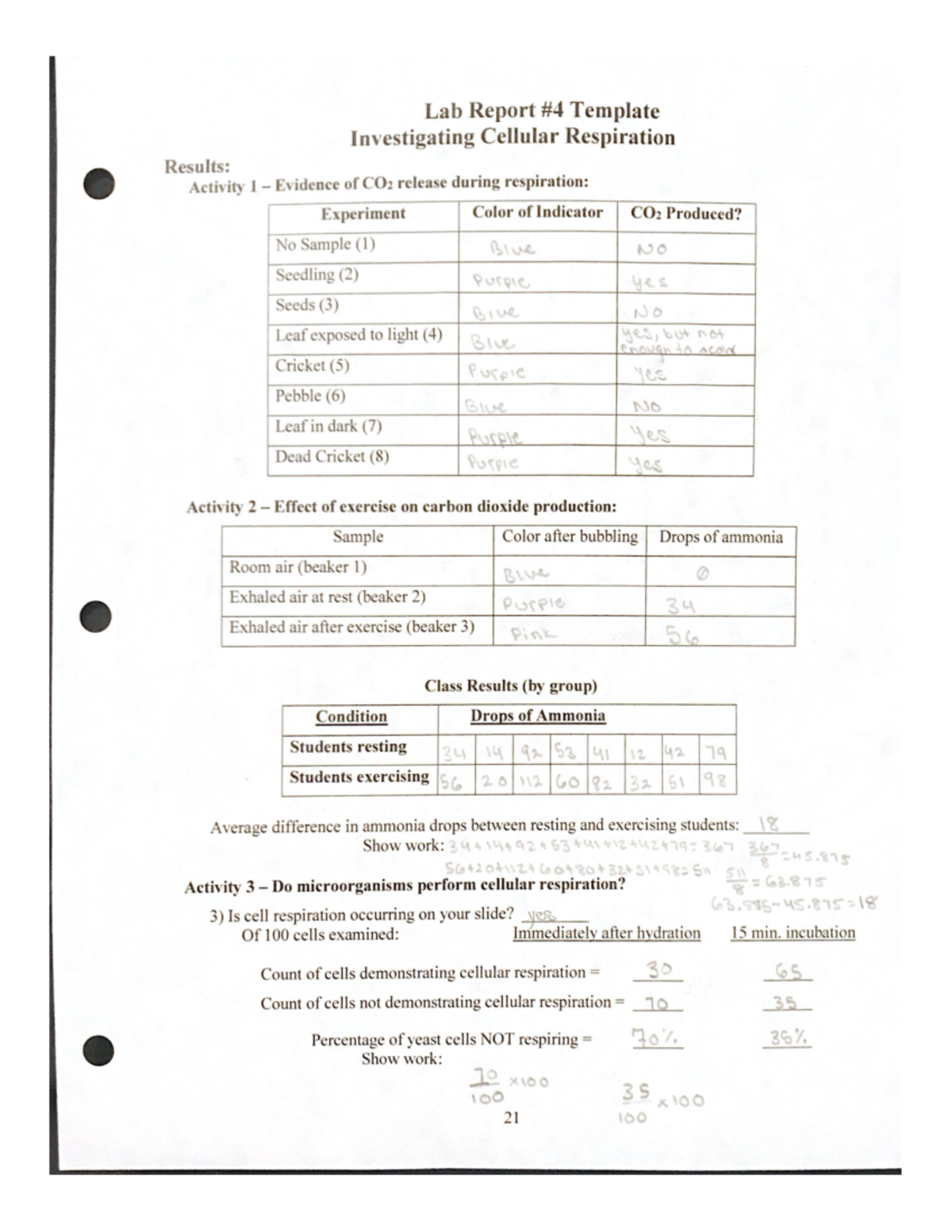 Lab Report #4: Exploring Cellular Respiration and CO2 Production - Studocu