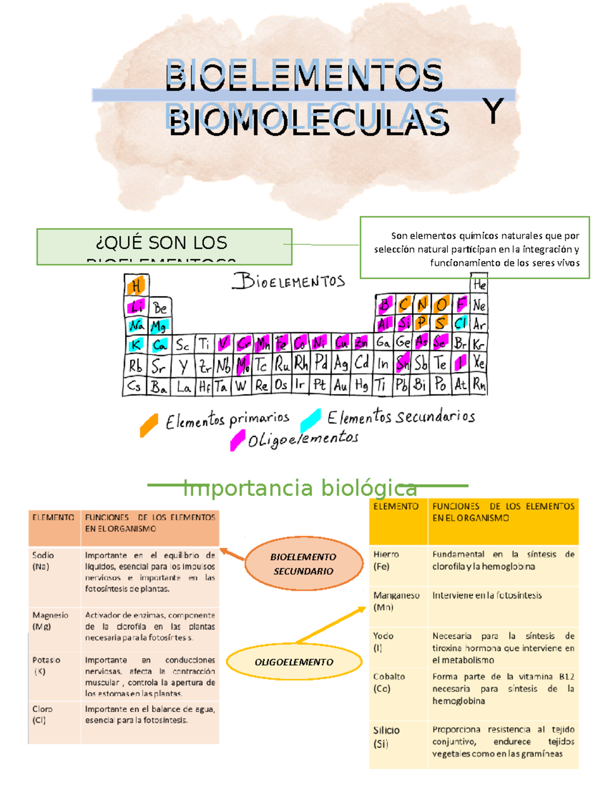 Bioelementos y Biomoléculas: Funciones y Clasificación en Seres Vivos - Document Preview