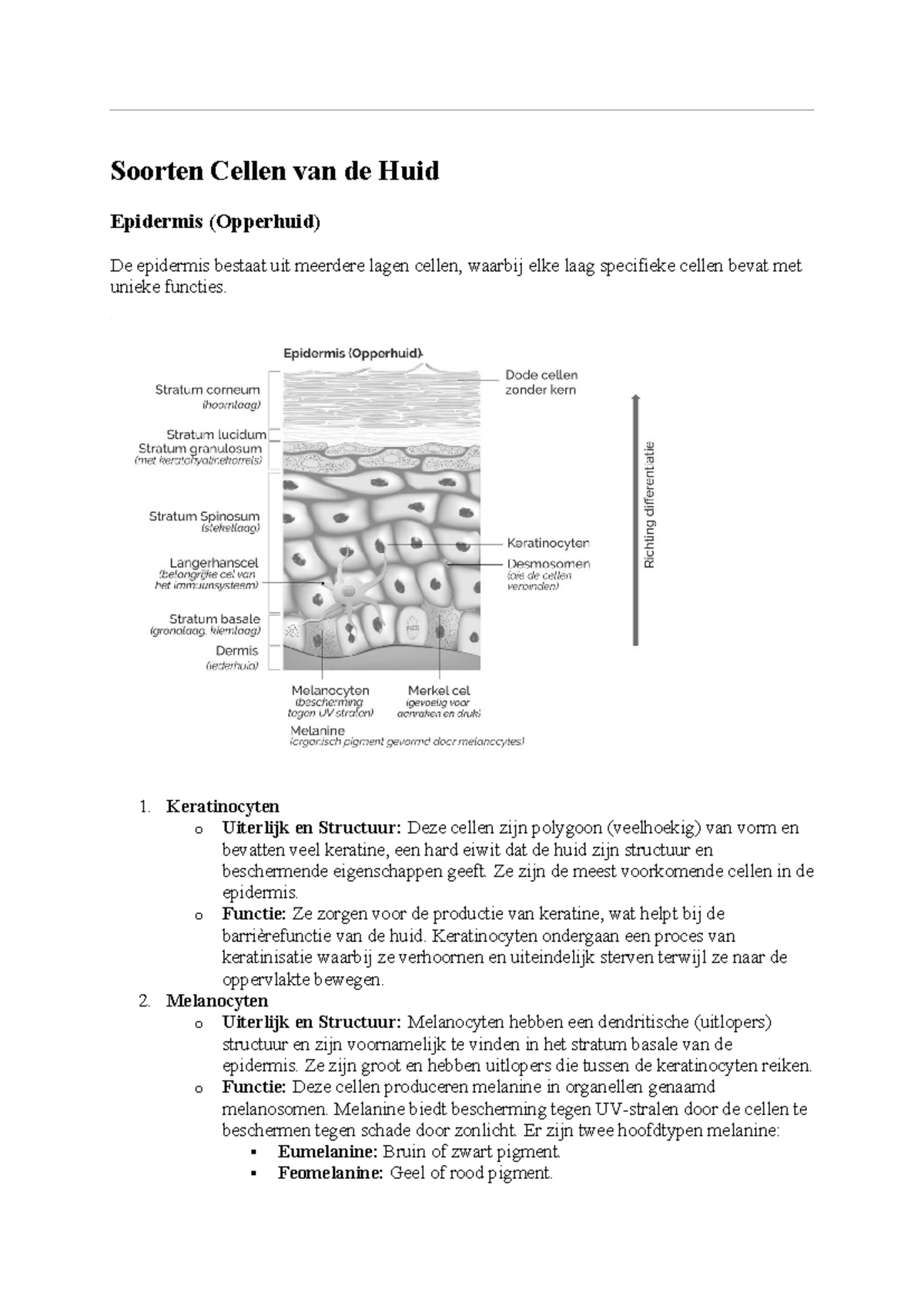Samenvatting Huidcellen en Infectiepreventie in Huidtherapie - Studeersnel