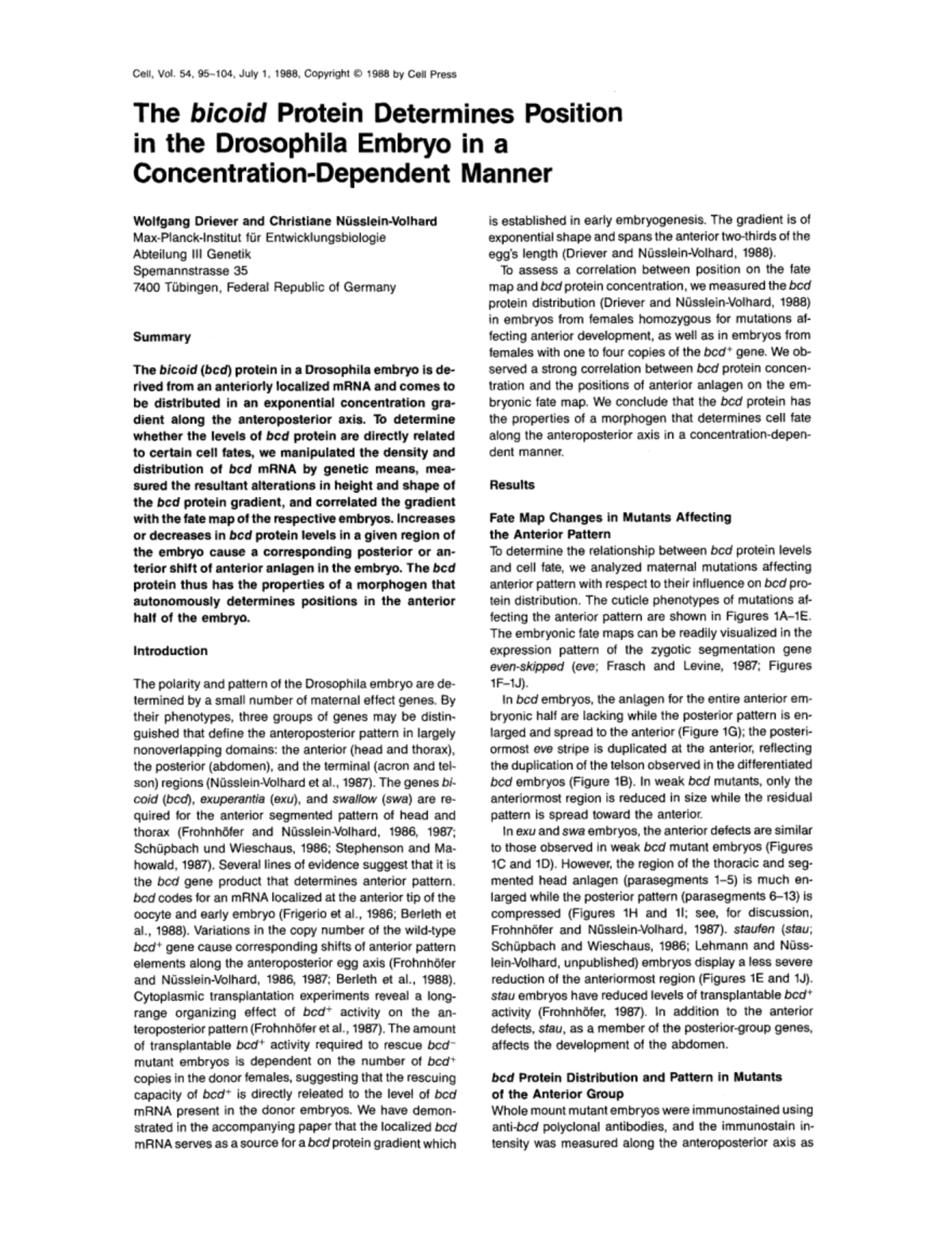 The bicoid Protein and Its Role in Drosophila Embryo Positioning (BIO ...