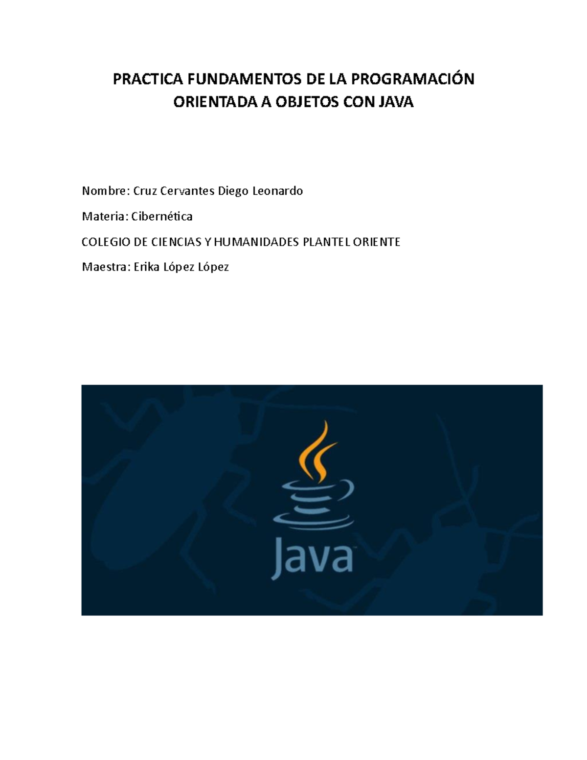 Practica Fundamentos DE LA Programación Orientada A Objetos CON JAVA ...