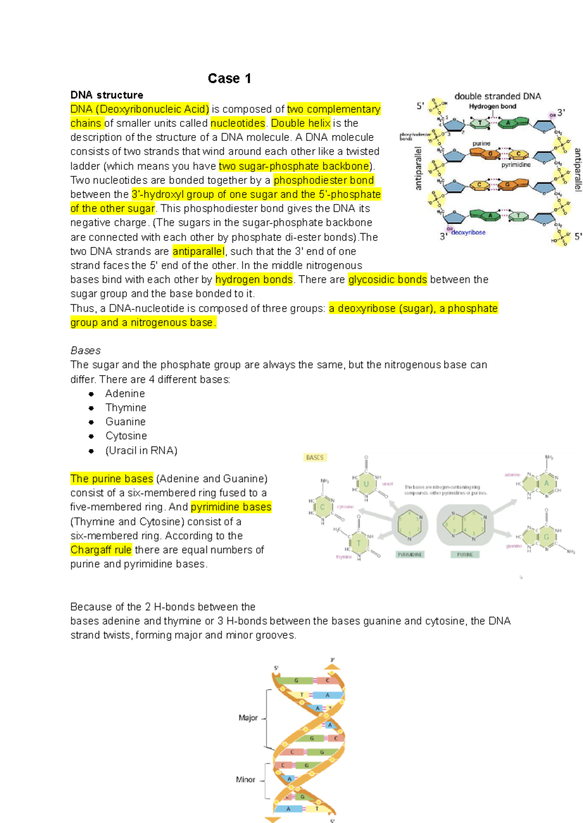 BBS1005 Case Study 1 - DNA Structure and Replication Overview - Studeersnel