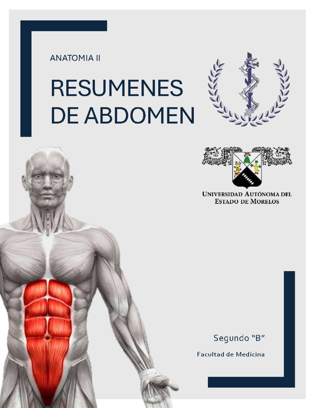 Resúmenes de Anatomía del Abdomen - ANATO II - Studocu