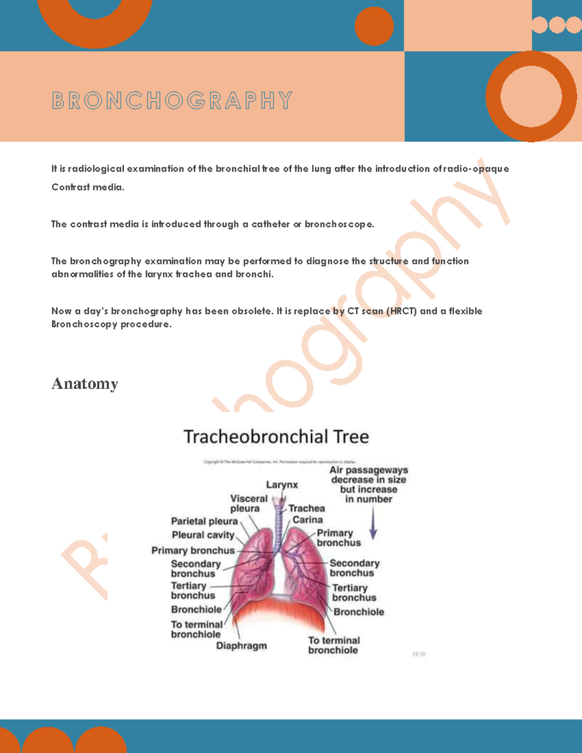 Bronchography Procedure Overview and Patient Guidelines - Studocu