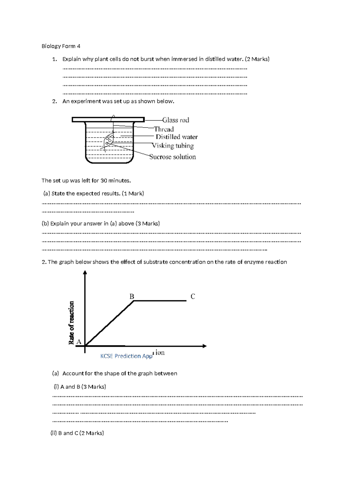 Biology Form 4 - Assignment on Plant Cells & Enzyme Reactions - Studocu