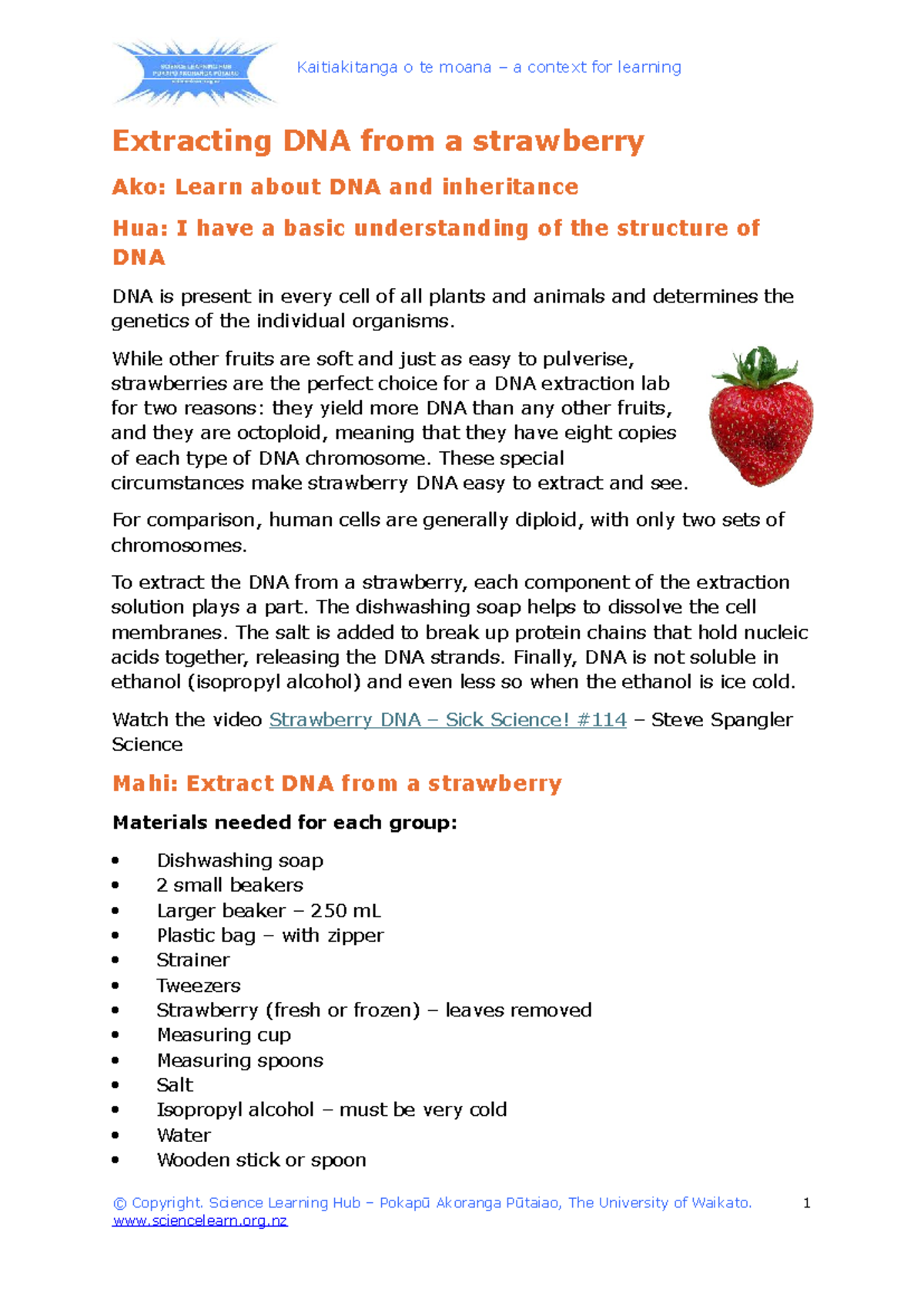 Extracting DNA from Strawberries: A Practical Lab Guide - Studocu