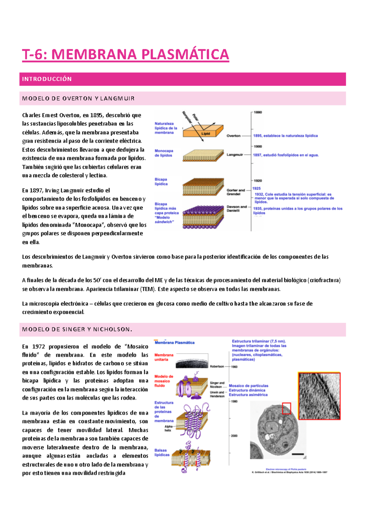 T-6: Membrana Plasmática y Modelos Estructurales Bio Cel - Document Preview