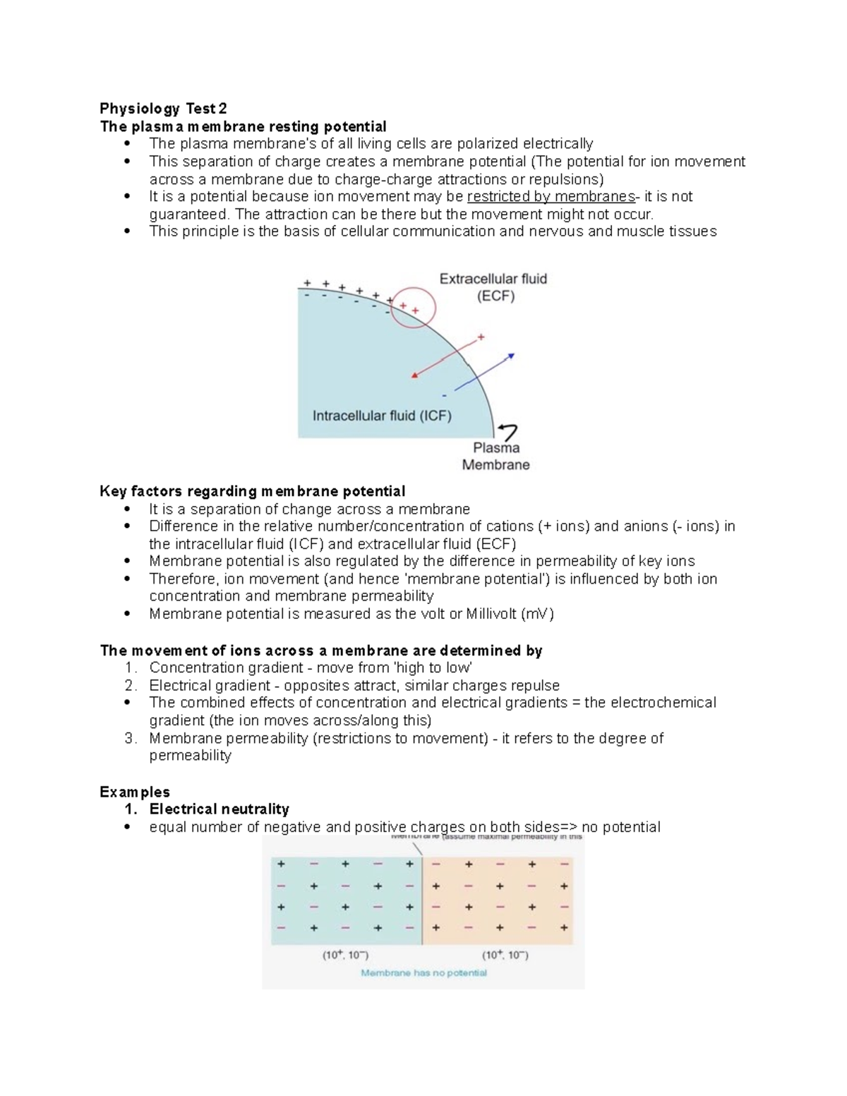 Physiology Test 2 - Comprehensive Notes on Membrane Potential and ...