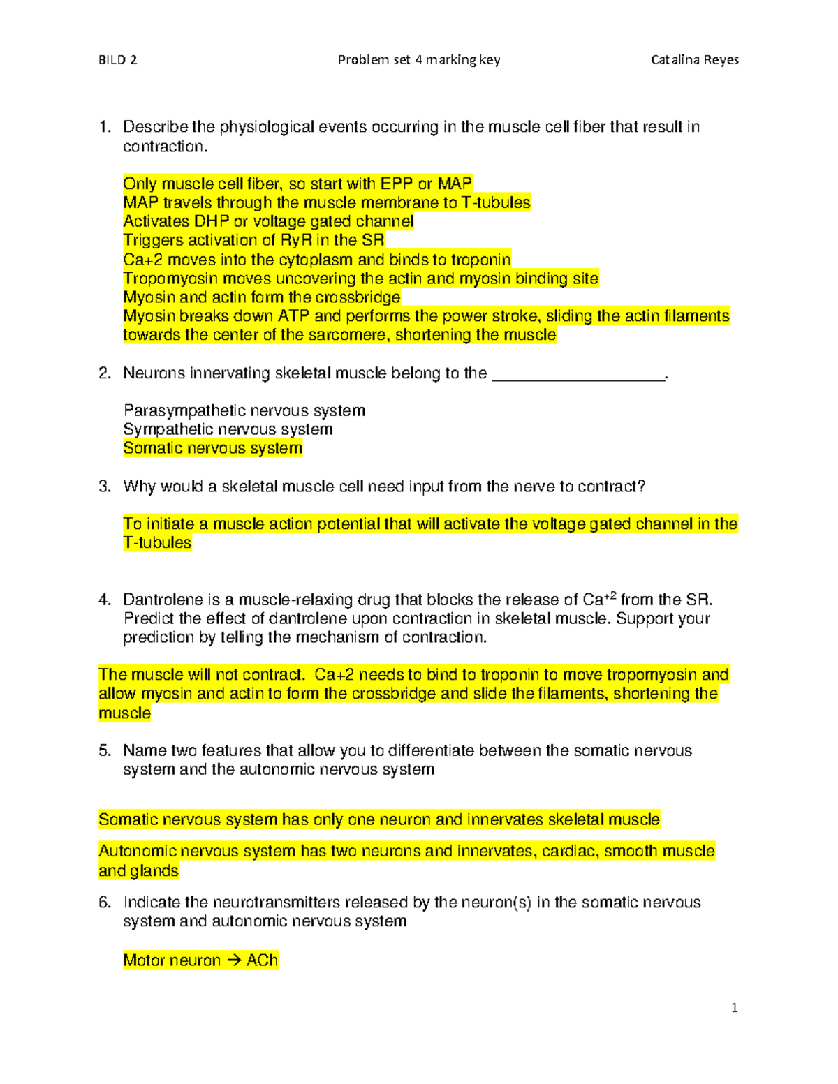 BILD 2 Problem Set 4 Marking Key - Studocu