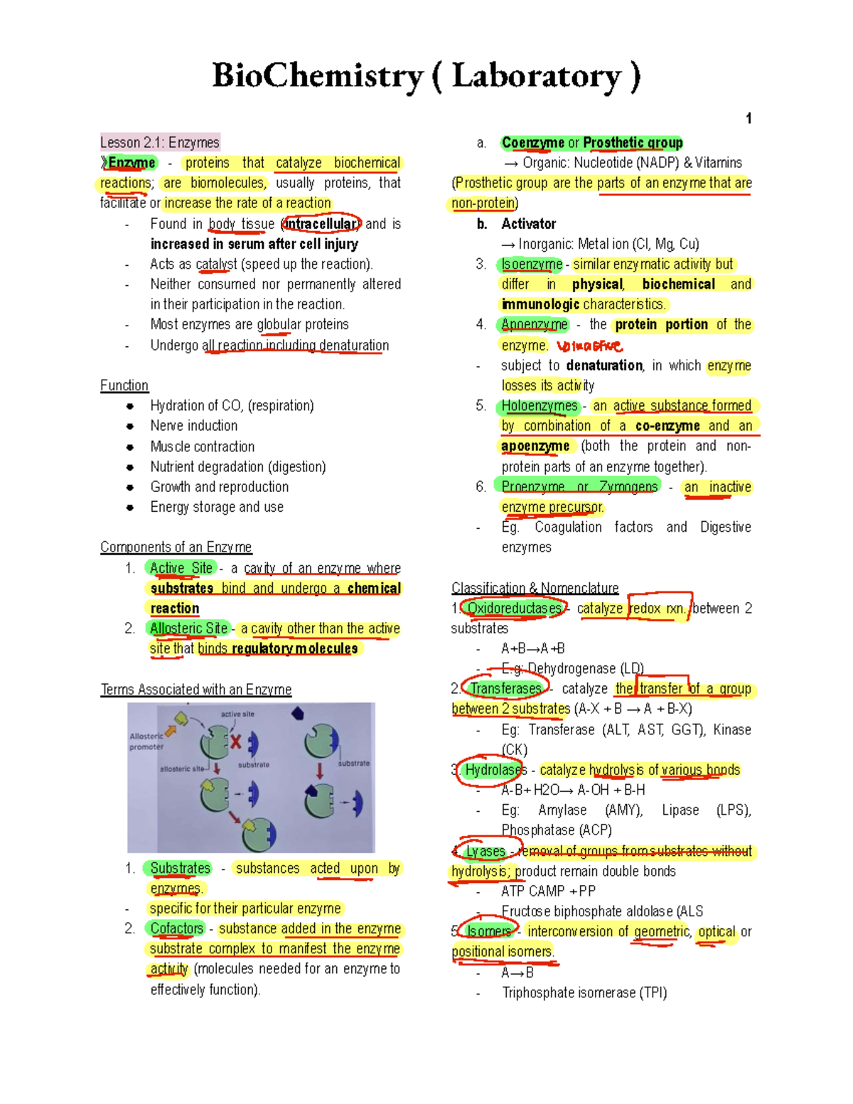 Biochemistry (Lab) Midterm: Enzymes and Their Functions - Studocu