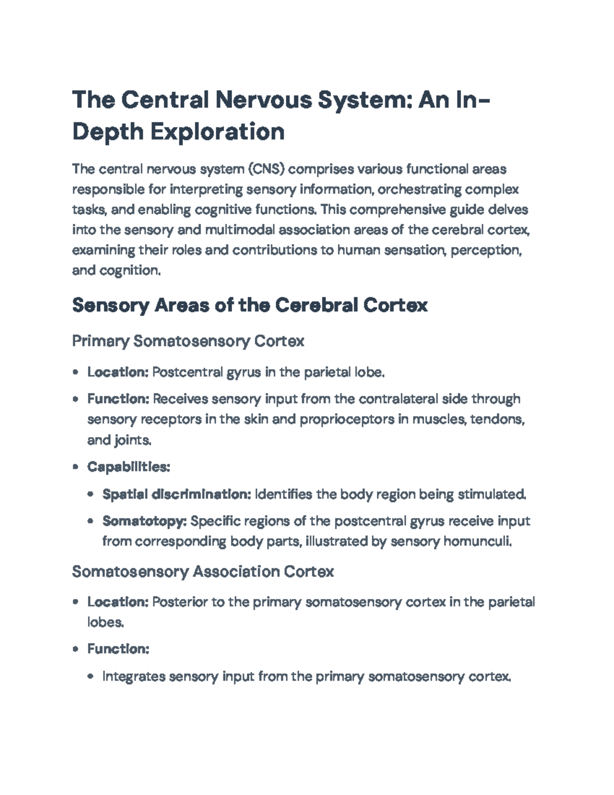 CNS 101: Overview of Sensory Areas and Functions in the Central Nervous ...