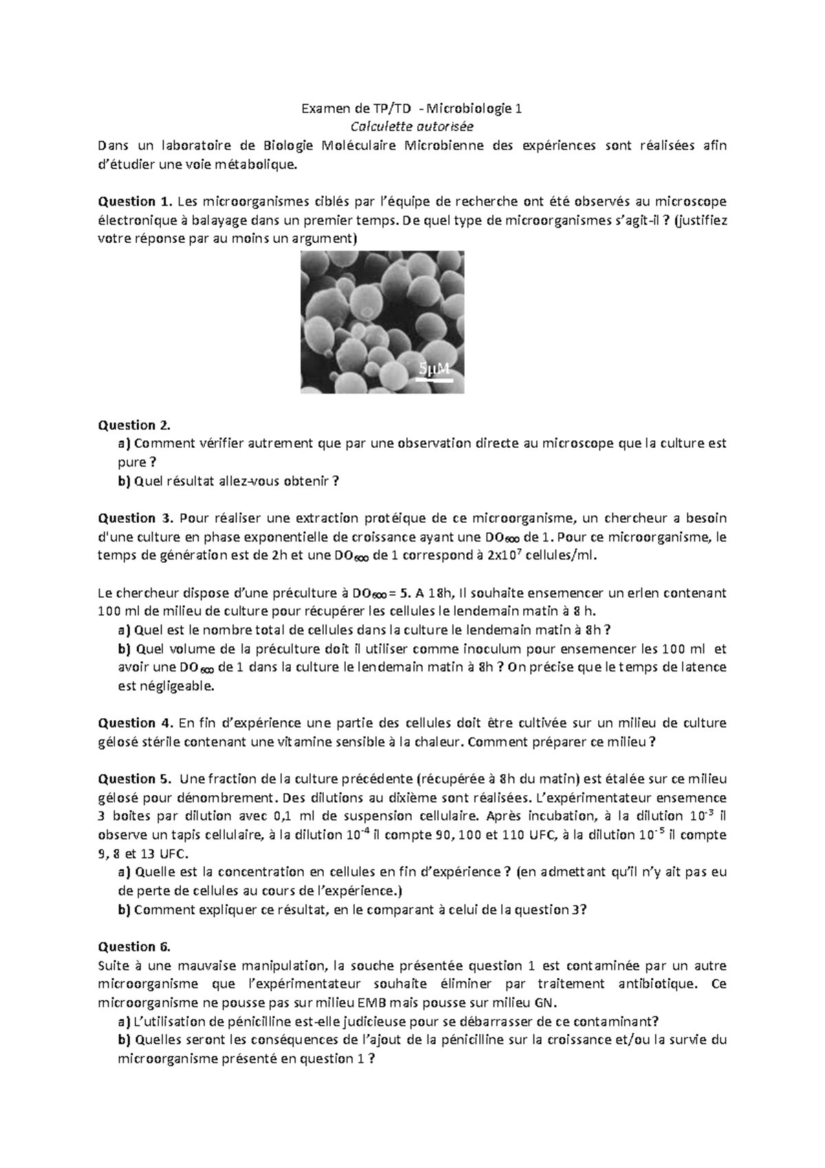 Examen TP de Microbiologie 1 : Questions et Réponses - Studocu
