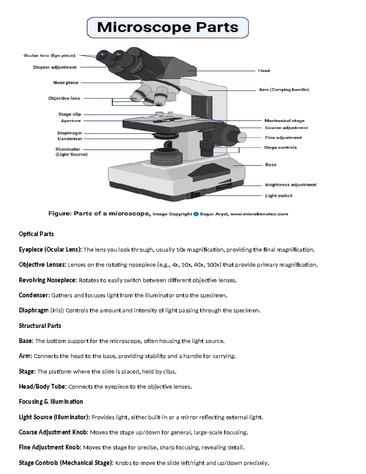 Microscope Parts Overview: Ocular Lens, Objective Lenses & More - Studocu