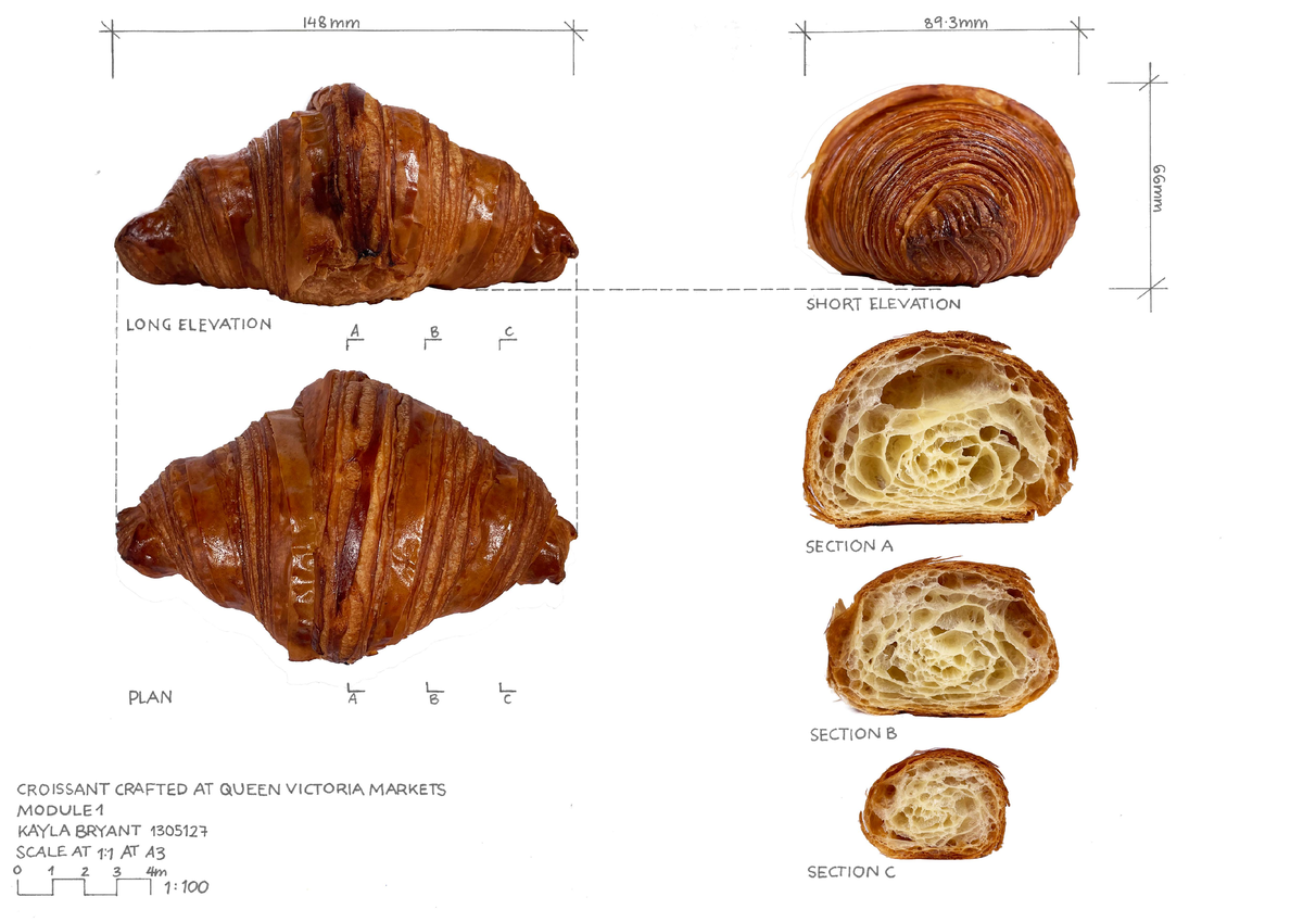 How to Draw a Croissant - ARCH10001 - Studocu