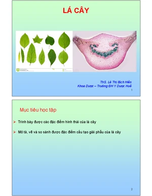 Tanya Kirilyuk jinsiy aloqa