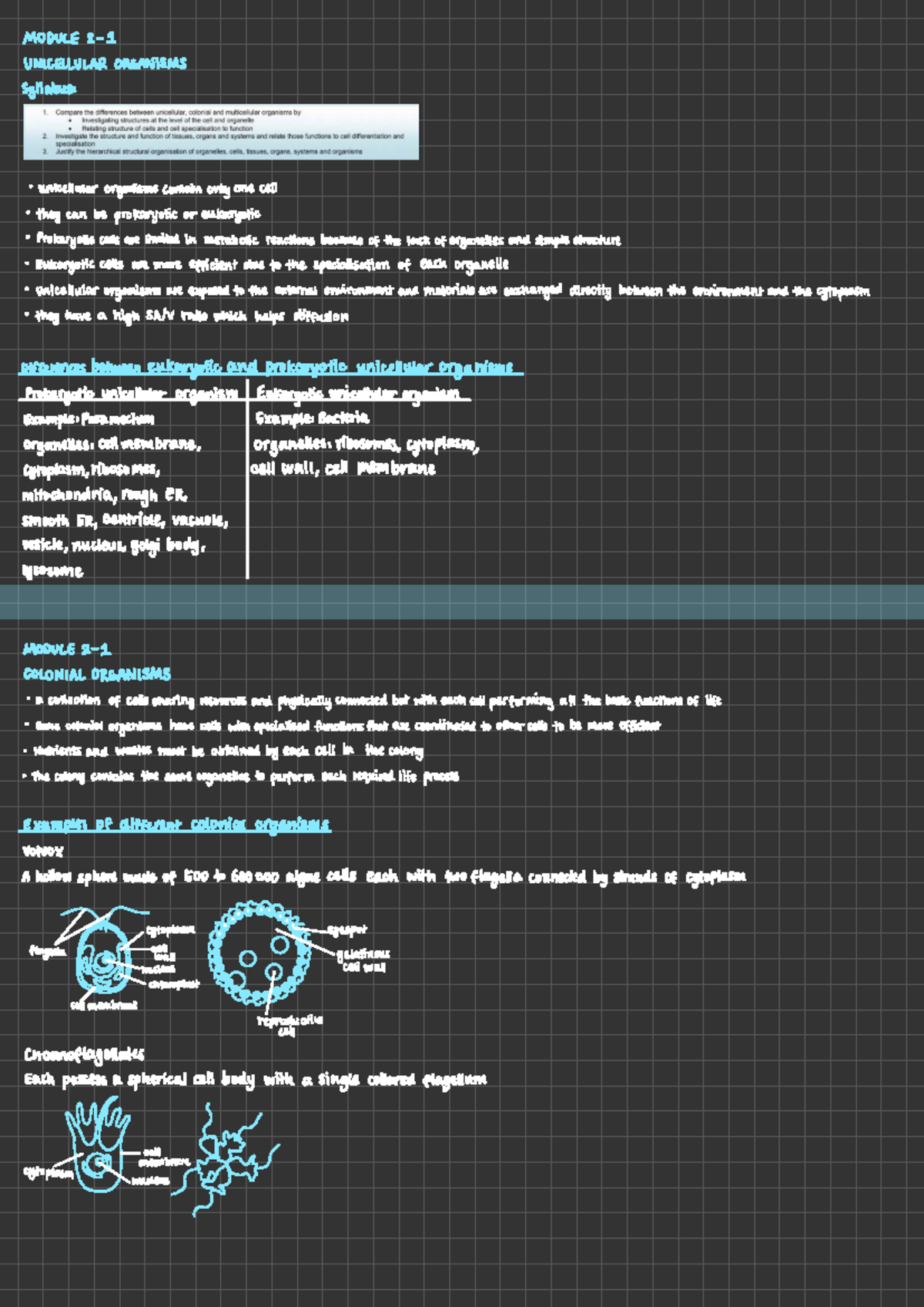 Biology Notes: Unicellular & Multicellular Organisms (Module 1-4) - Studocu
