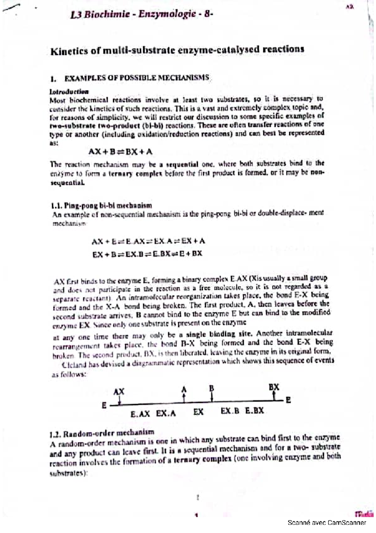 AX L3 Biochimie Enzymologie: Kinetics of Multi-Substrate Reactions ...