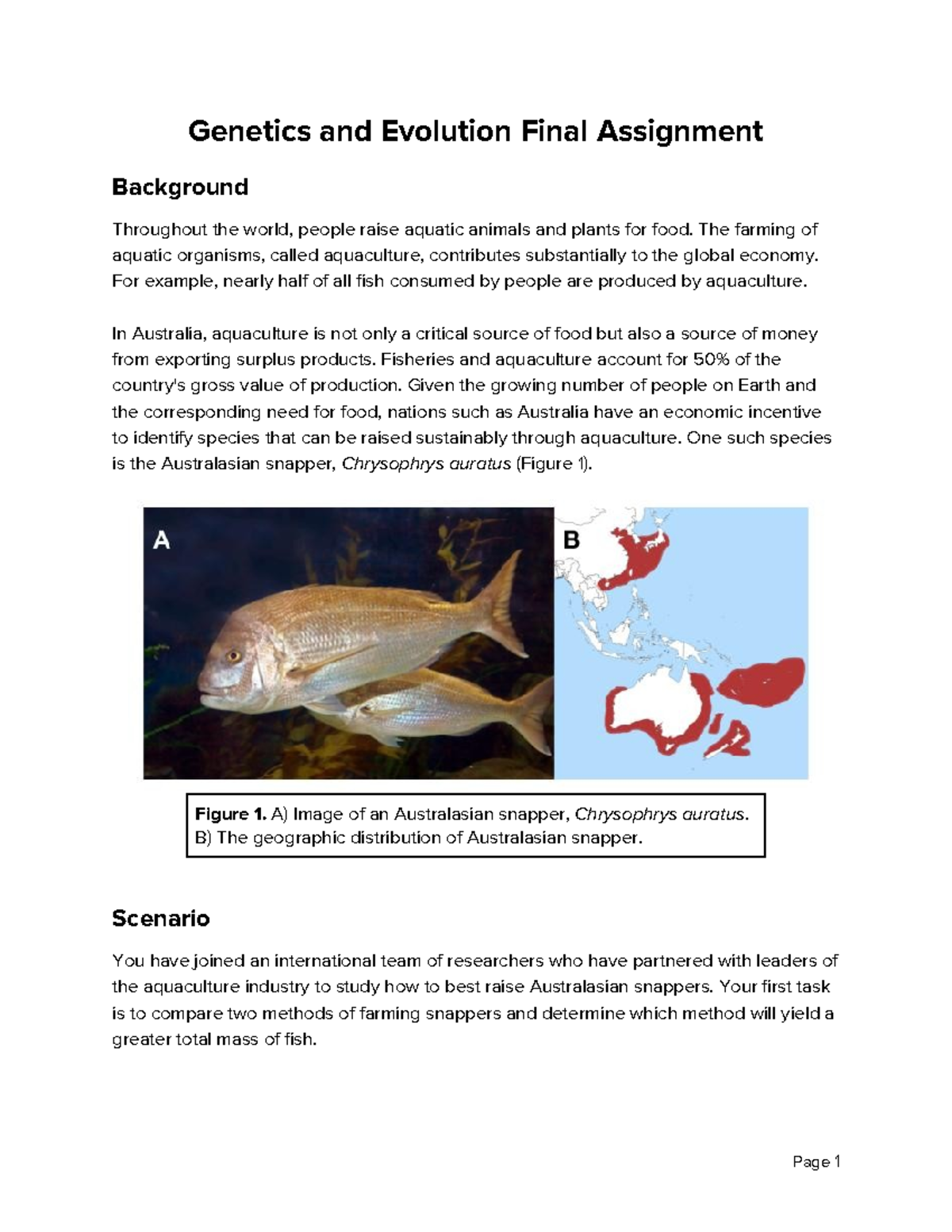 **Genetics and Evolution Lab Instructions: Aquaculture of Australasian ...