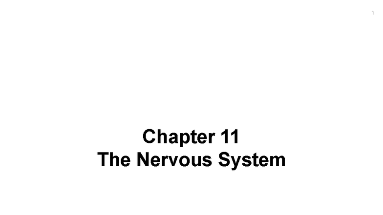 Chapter 11: The Nervous System - Neurons and Action Potentials Overview ...