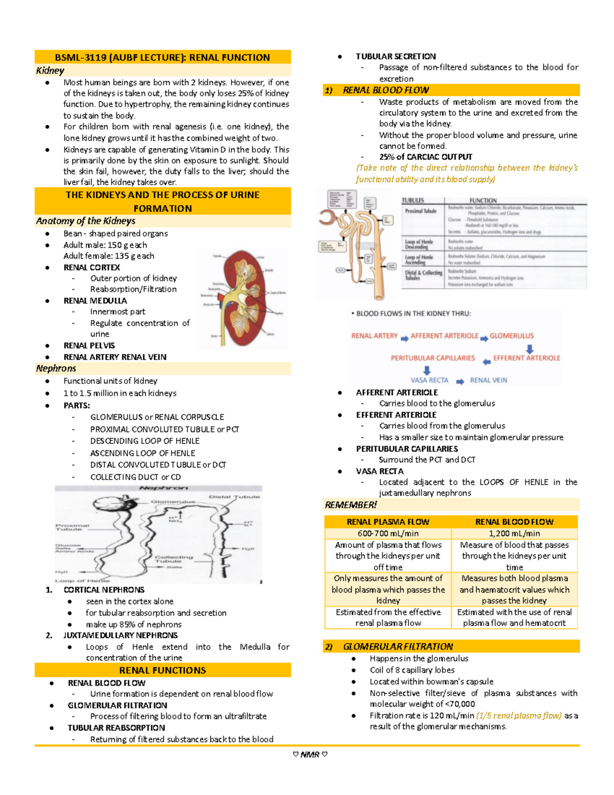 Renal Function - BSML-3119 AUBF Lecture Notes and Key Insights - Studocu