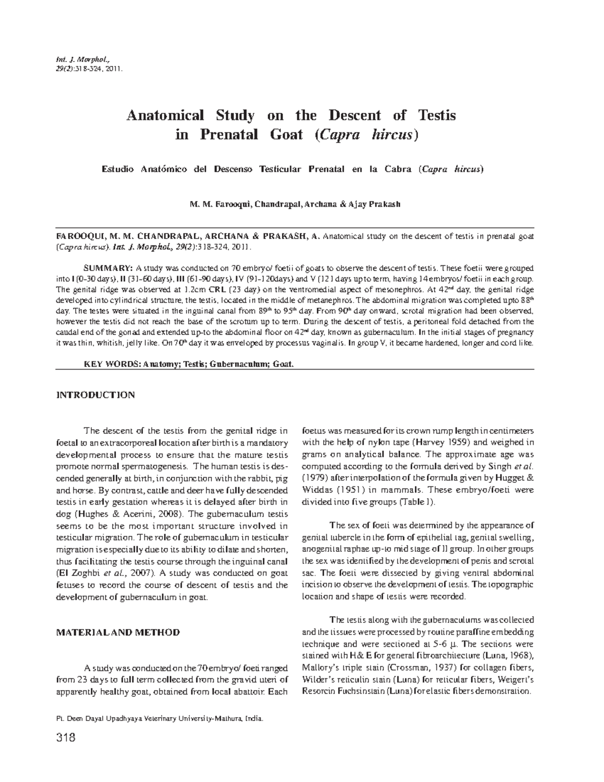 Anatomical Study on the Descent of Testis - Int. J. Morphol., 29(2):318 ...