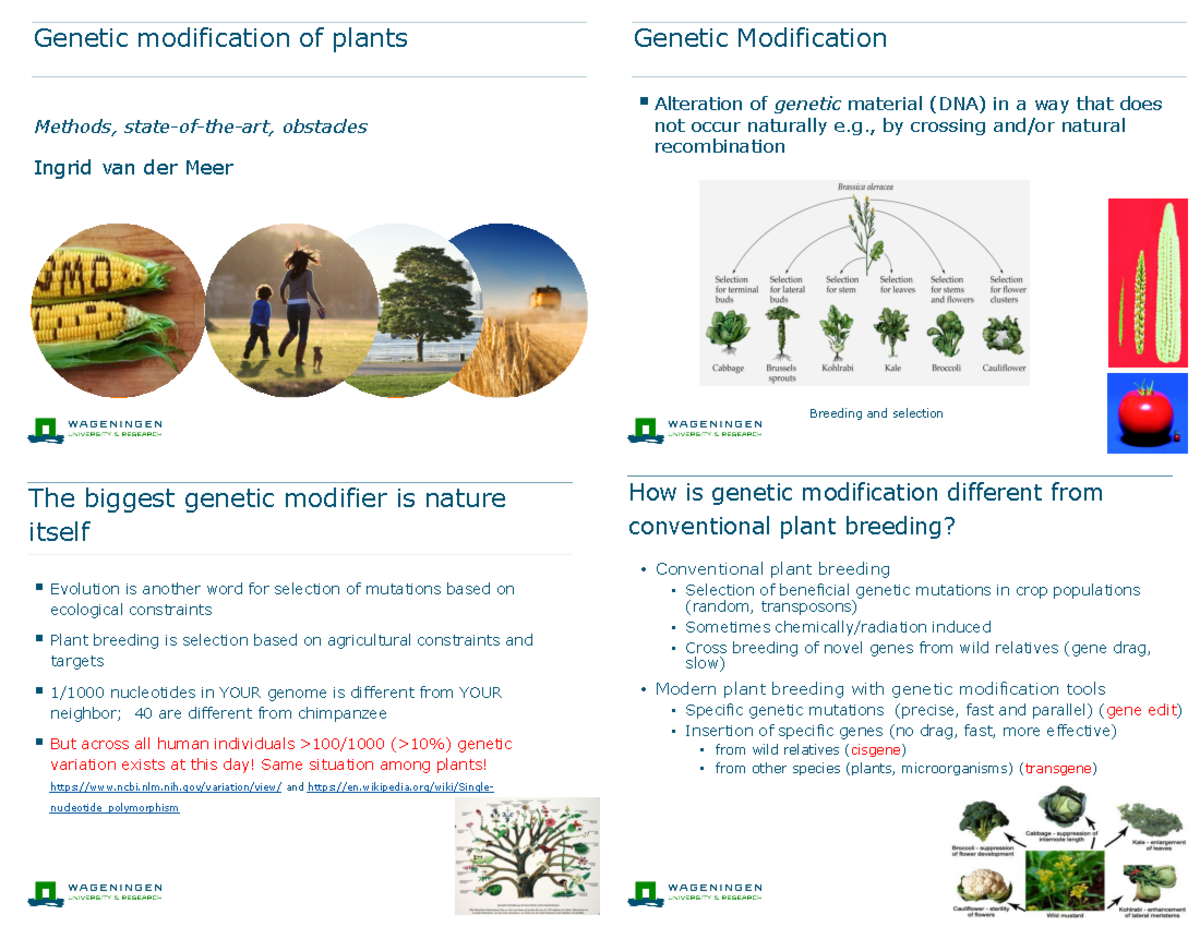 Genetic Modification of Plants: Methods, Challenges, and Innovations ...