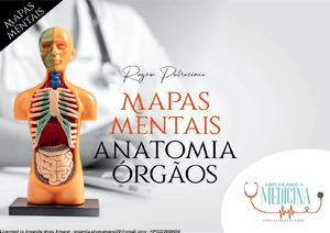 Mapas+ Muscular+-+ Espanhol+-+V2 - Es un gran placer verte por aquí ...