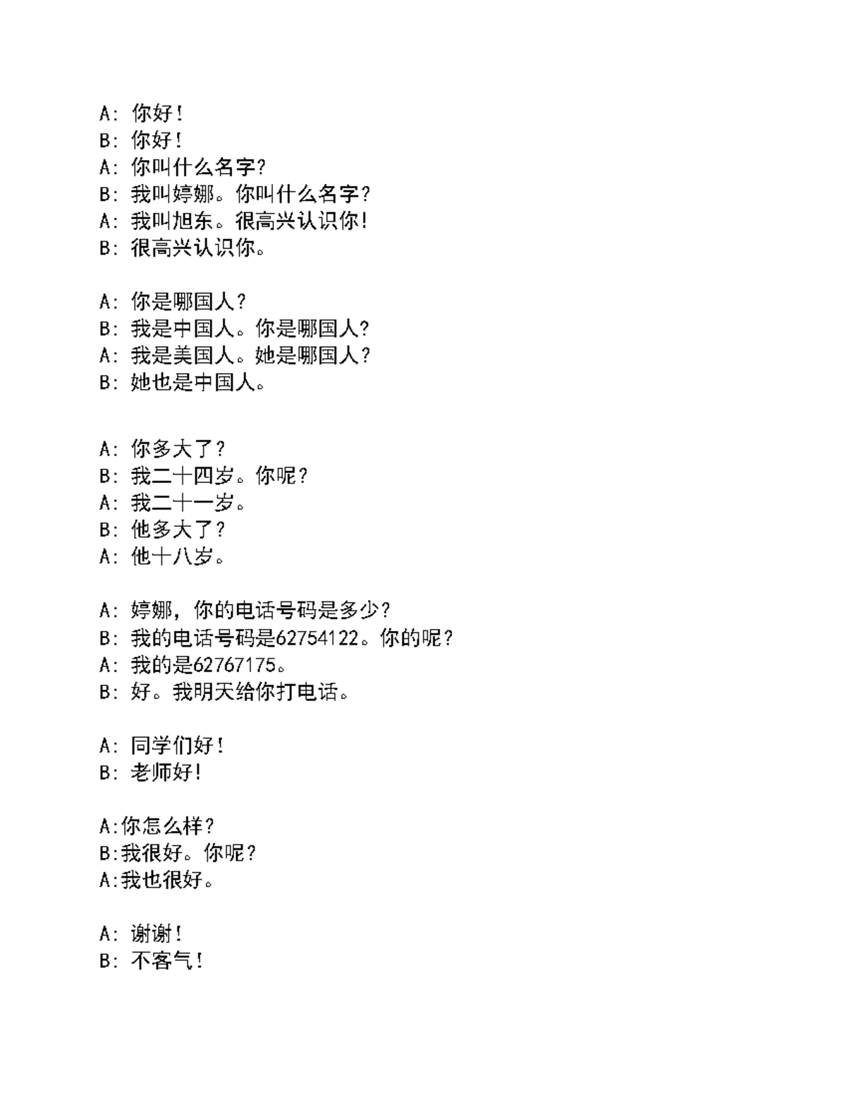 Chinese Language Lesson Notes: Conversations and Vocabulary (Transcript ...