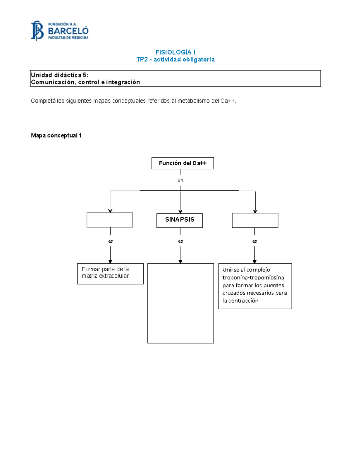 Actividad obligatoria ud5 - fisiologia - Función del Ca++ en SINAPSIS ...