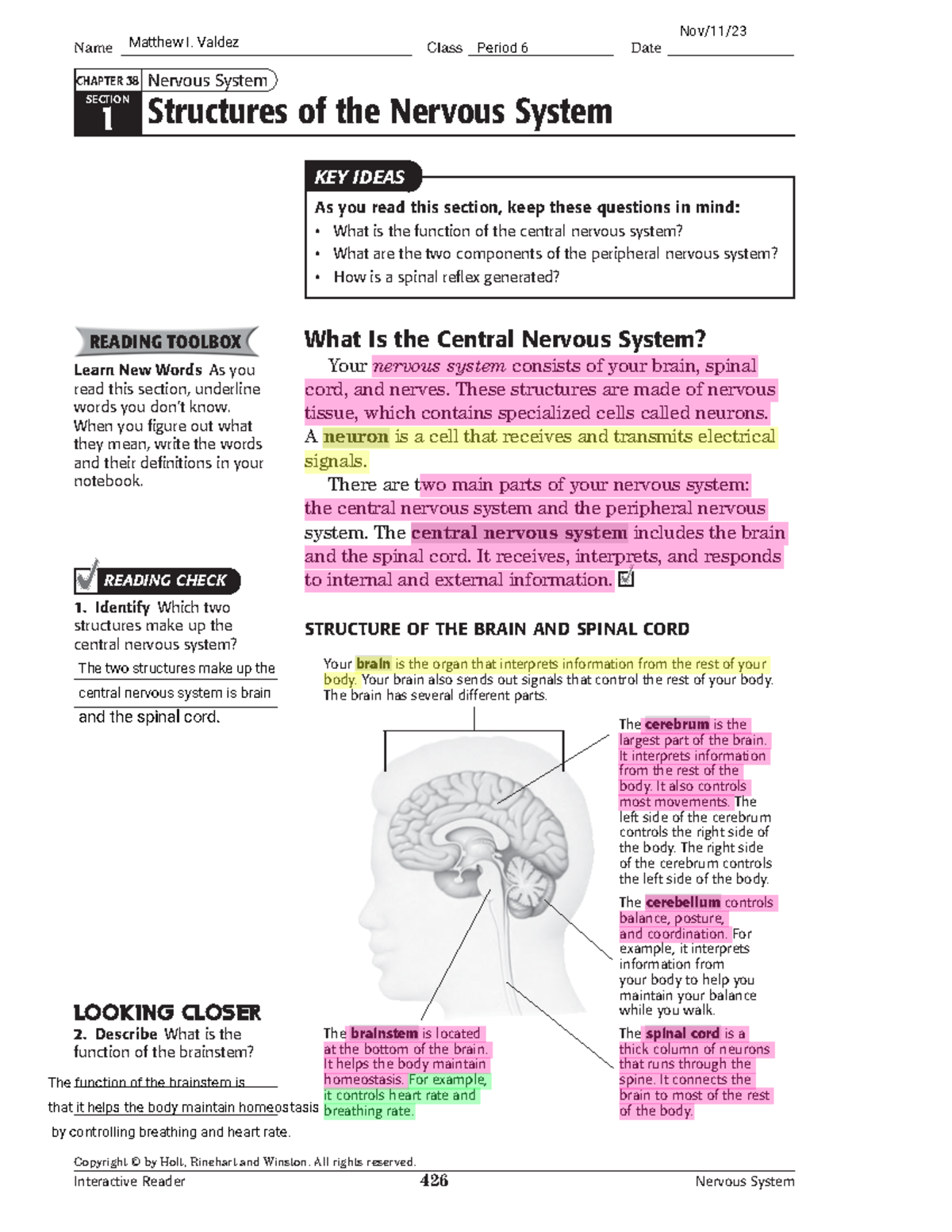 Nervous System Functions And Components