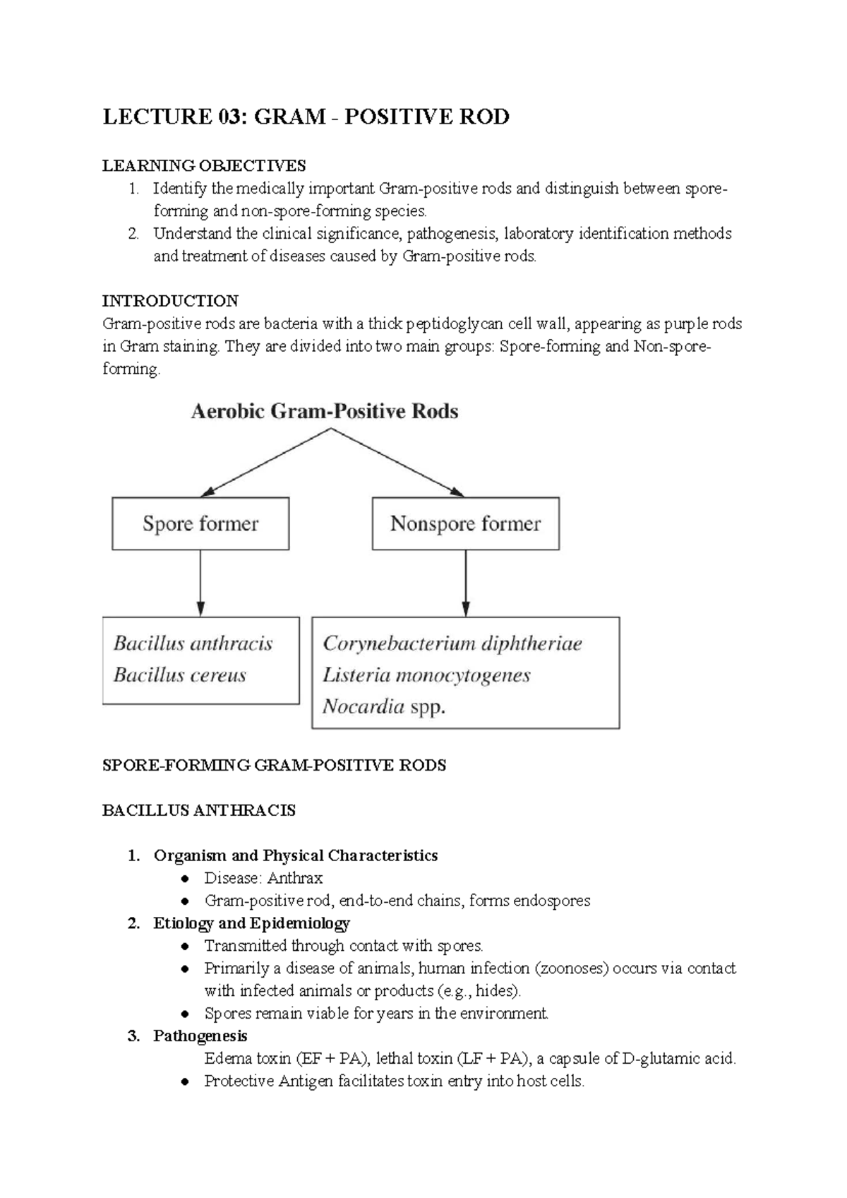 LECTURE 03: GRAM-POSITIVE RODS - ADS Study Guide - Studocu