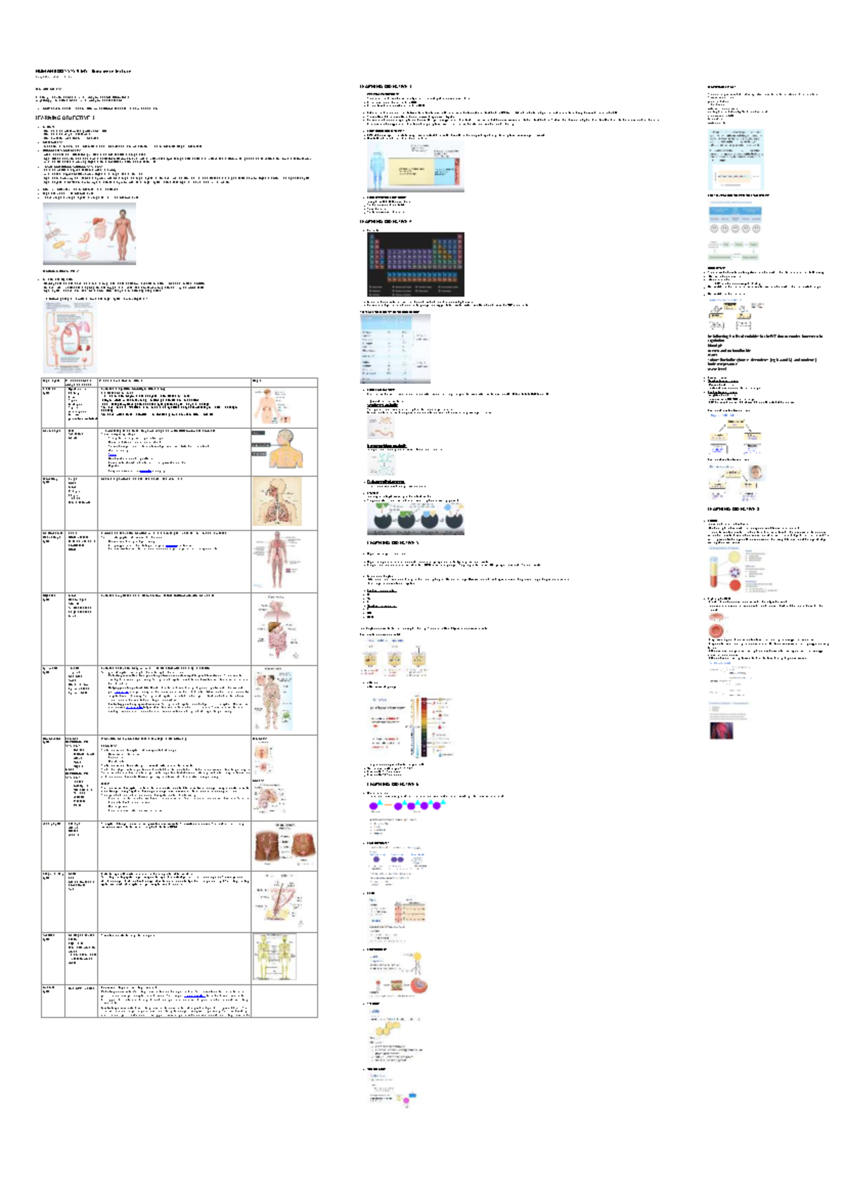 Lecture Notes on Human Anatomy and Physiology - Studocu