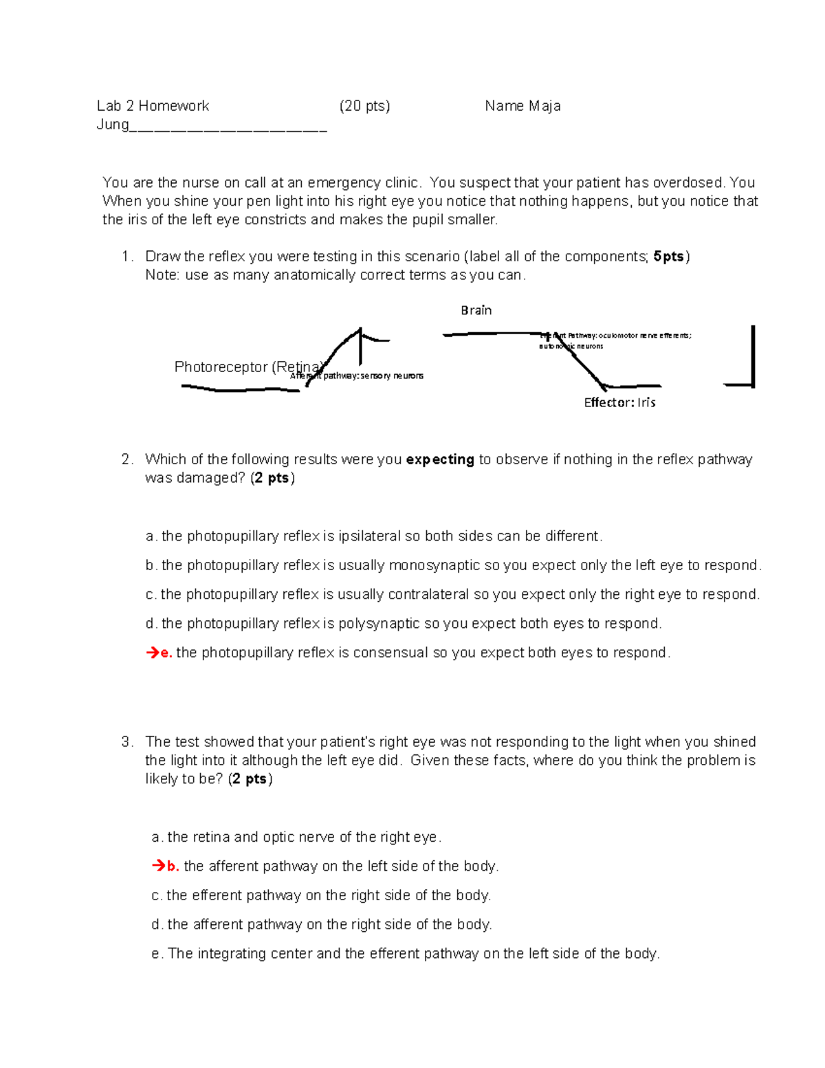 Lab 2 Homework - Understanding Reflexes & Nerve Response (Fall 2022 ...