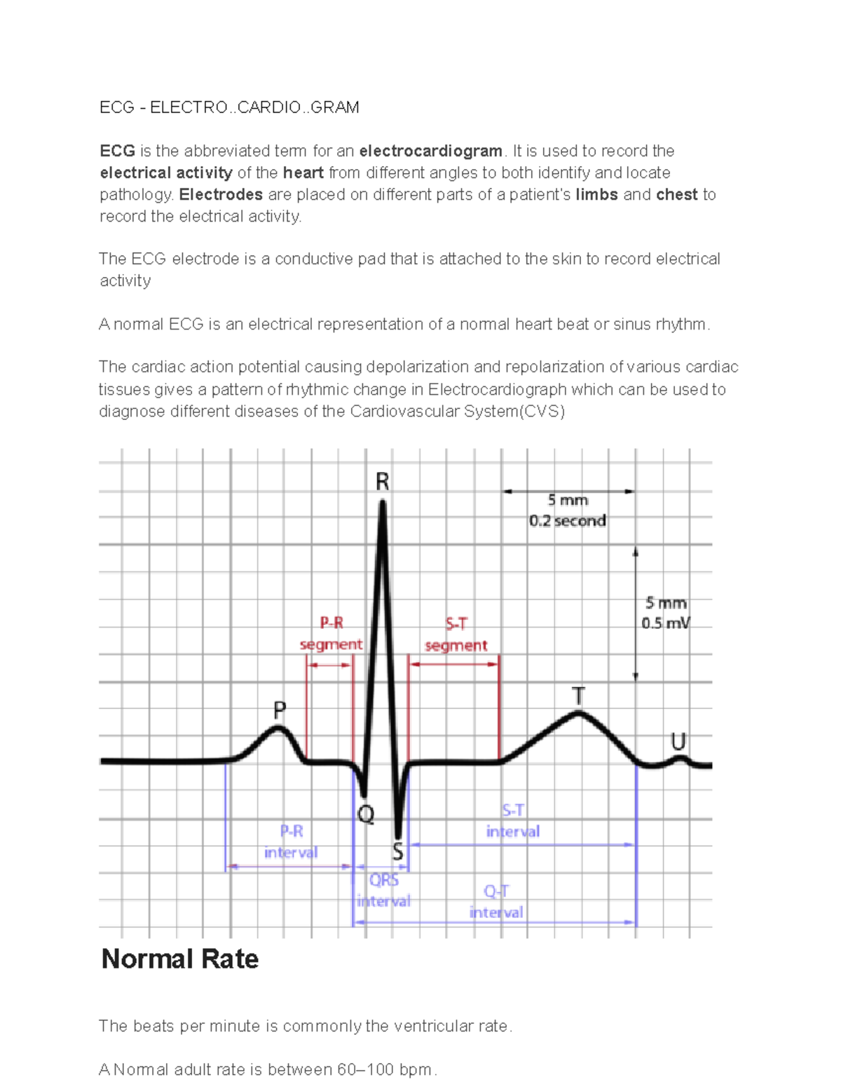 Electrocardiogram Abbreviated A And B) Relationship Of ECG And The