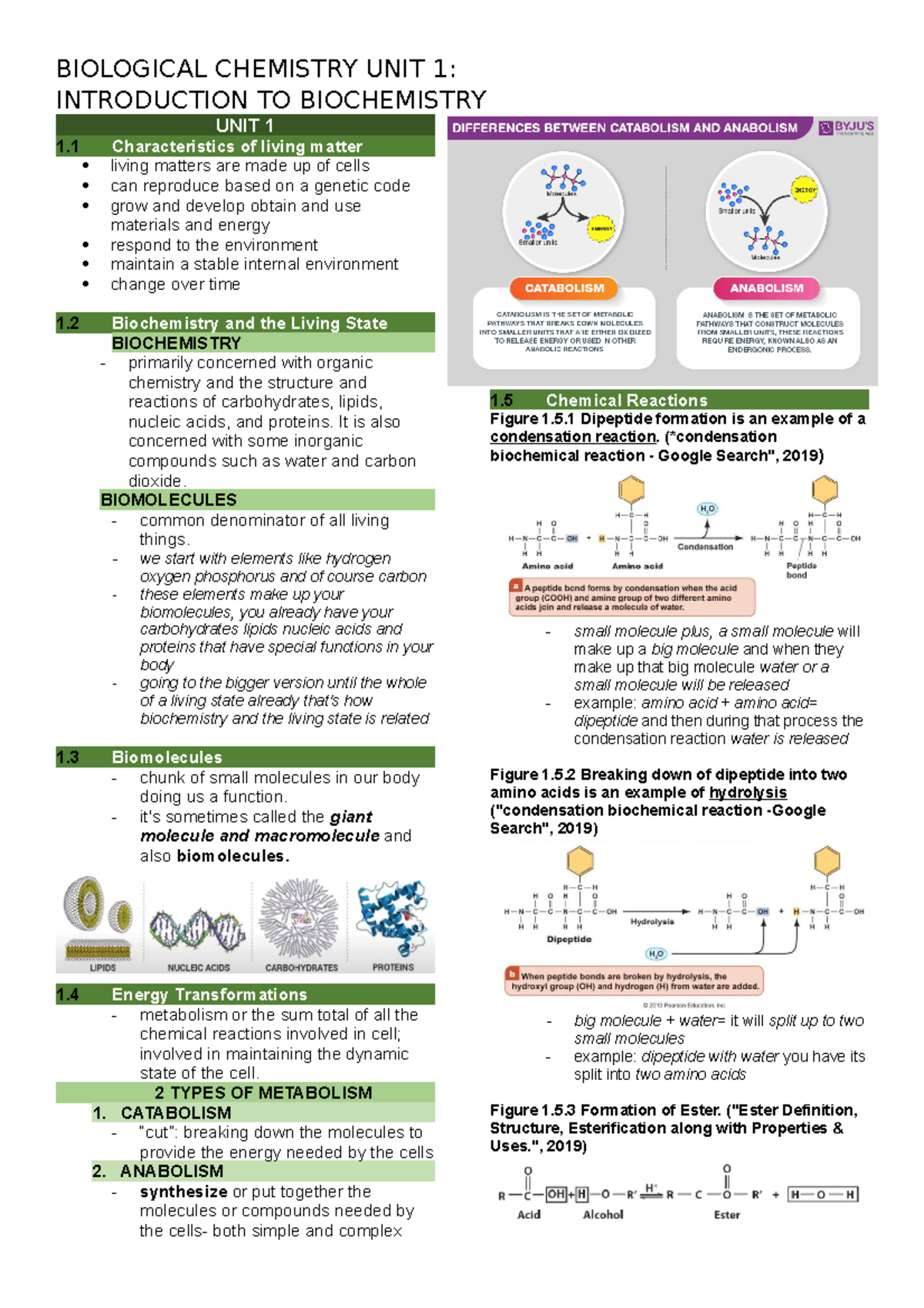 Biochem 101: Intro to Biological Chemistry - Unit 1 Overview - Studocu