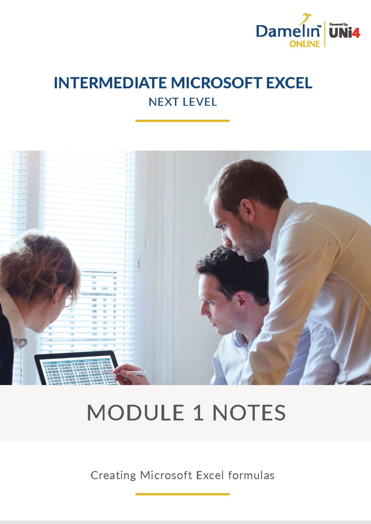 Damelin Online Excel Intermediate Next Level Notes 1 - MODULE 1 NOTES ...