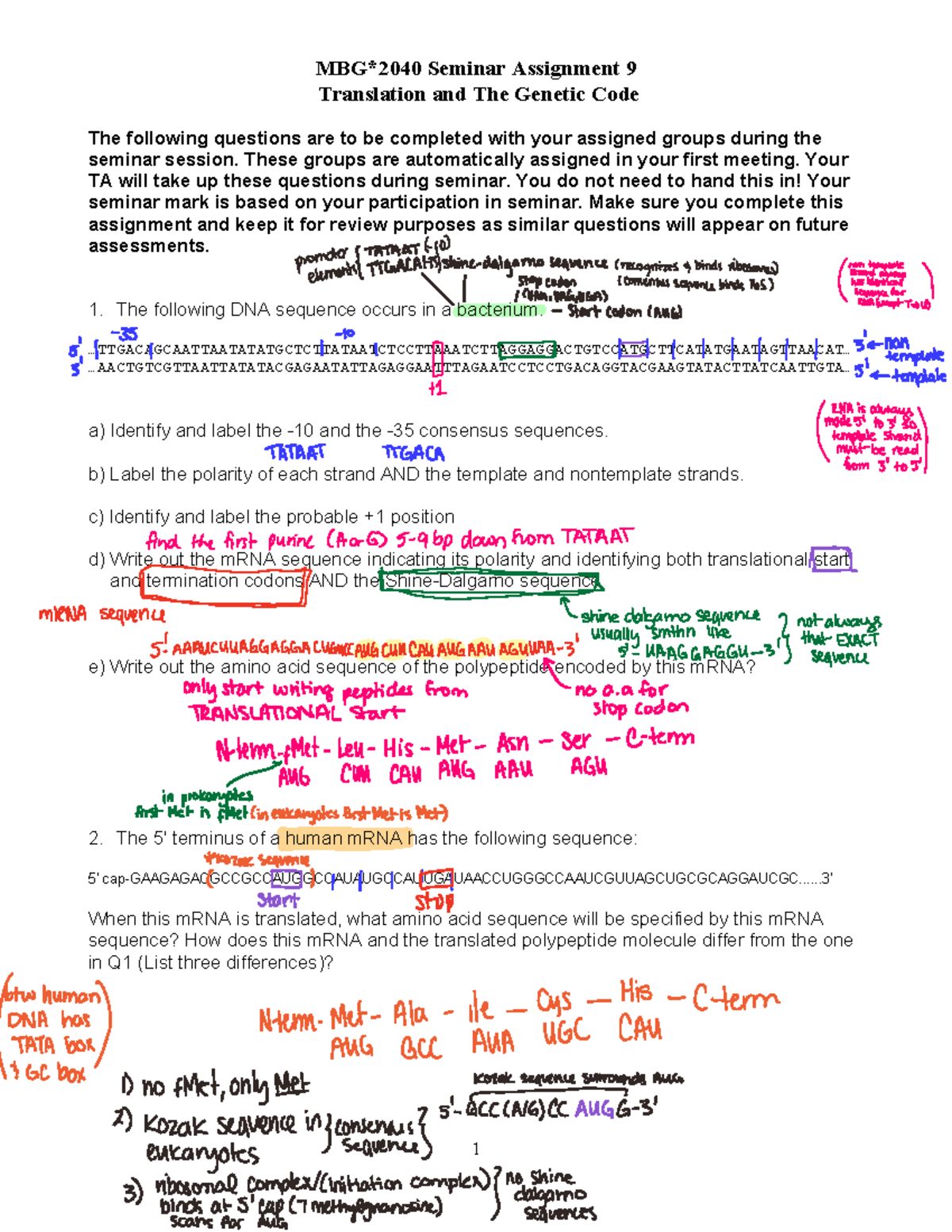 Seminar Assignment 9: Translation & The Genetic Code Insights - Studocu