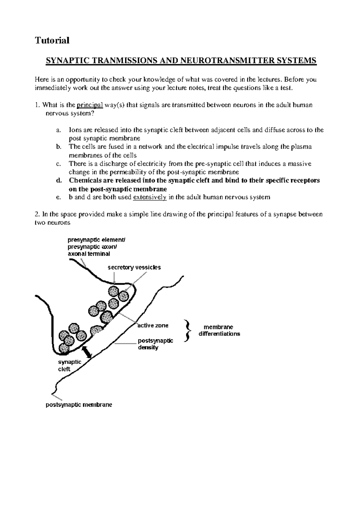 Synaptic transmission and neurotransmitter systems- tutorial answers ...