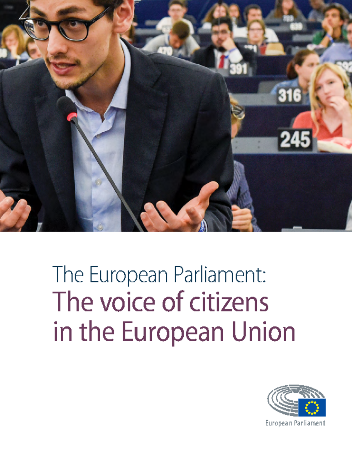 The European Parliament: The Voice of Citizens in the EU - QA0122287 ...
