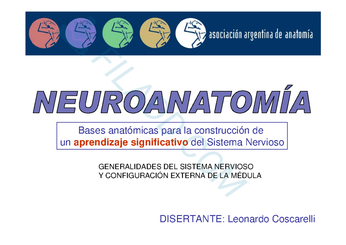 Neuroanatomia - Leo Coscarelli 28pdf 29 - Bases anatómicas para la ...