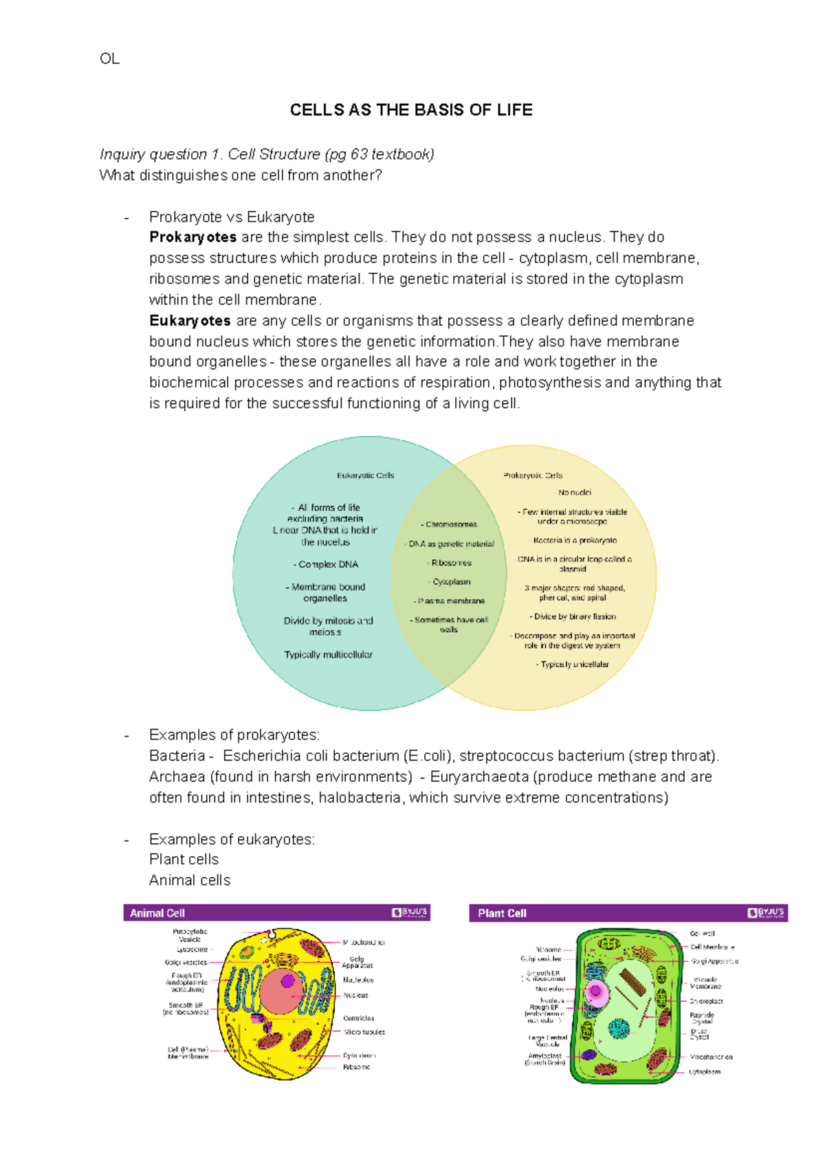 MOD 1 BIO - Understanding Cell Structure and Function - Studocu