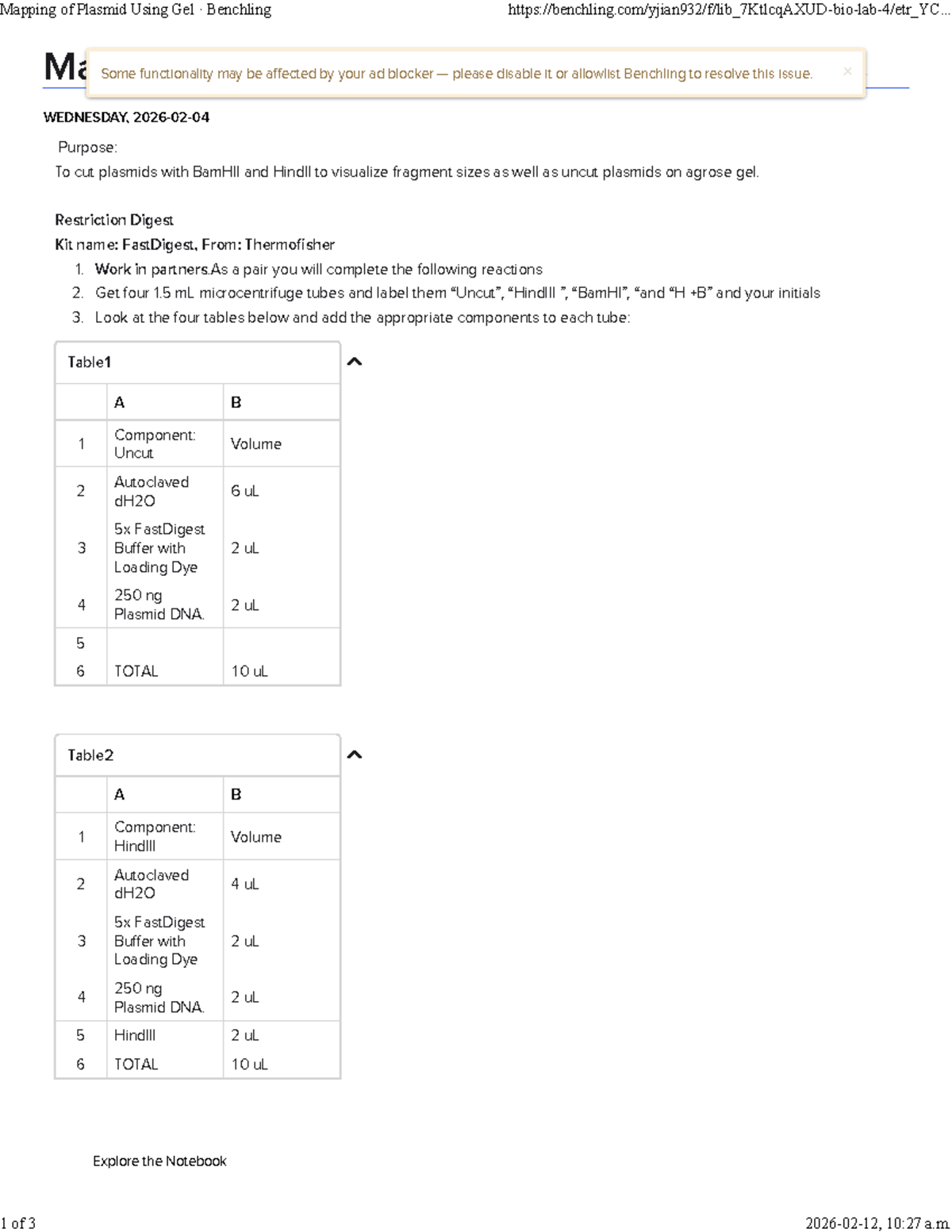 Plasmid Mapping Using Gel Electrophoresis - Benchling Guide - Studocu
