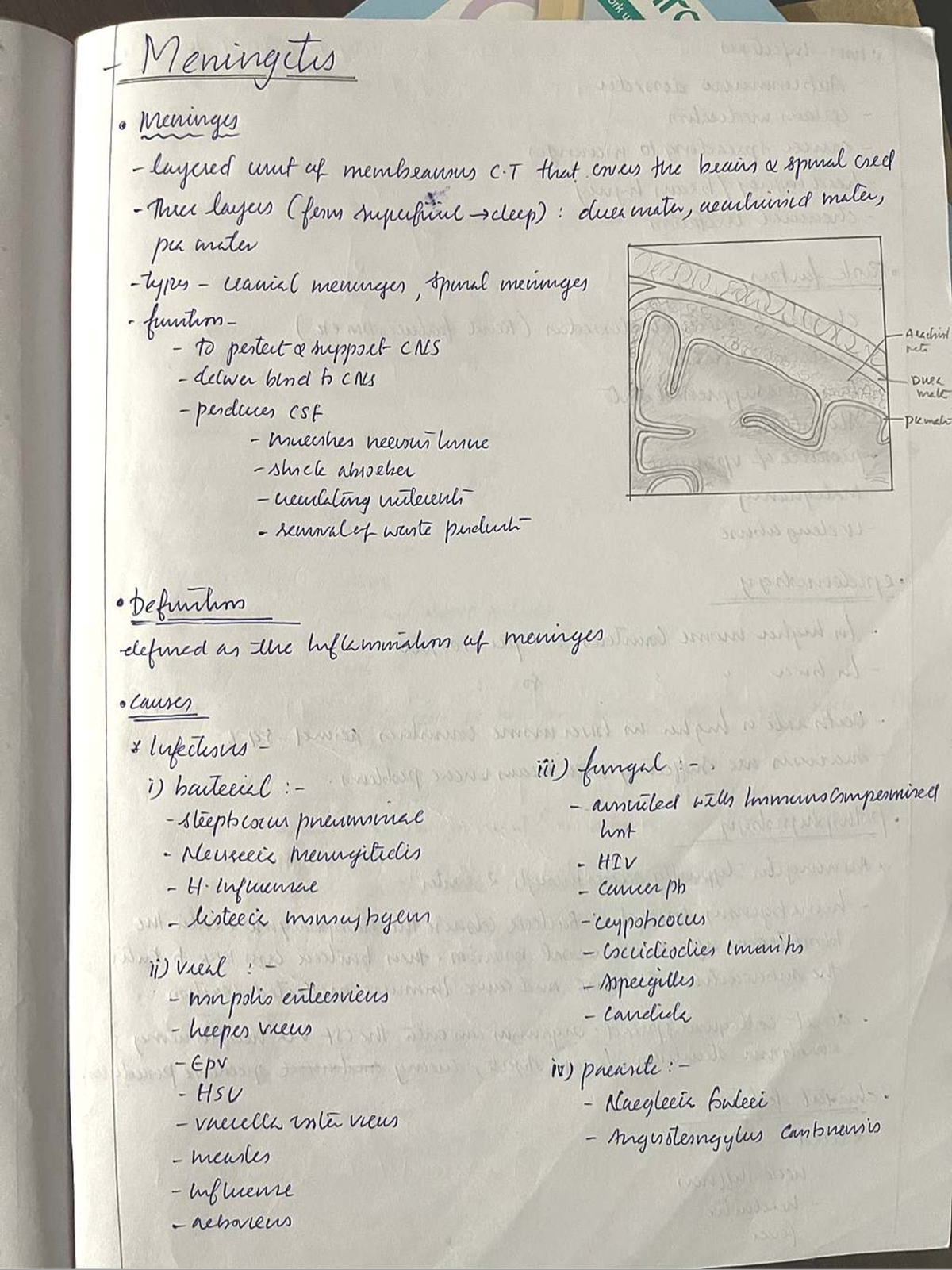 Meningitis Short Notes - 4th Year BPT Neuro Topic - Studocu