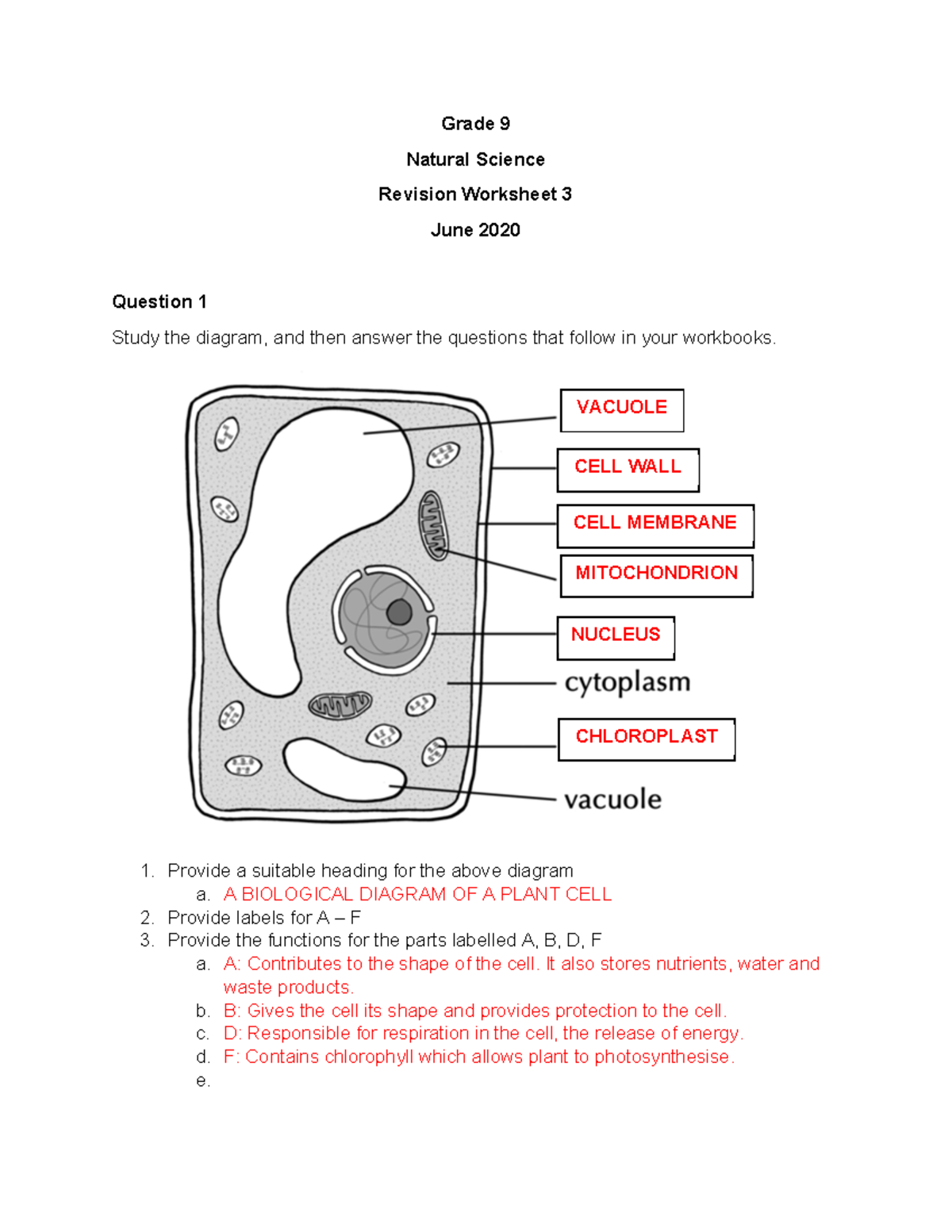 Gr 9 NS Cell Worksheet Memo: Plant & Animal Cell Functions - Studocu