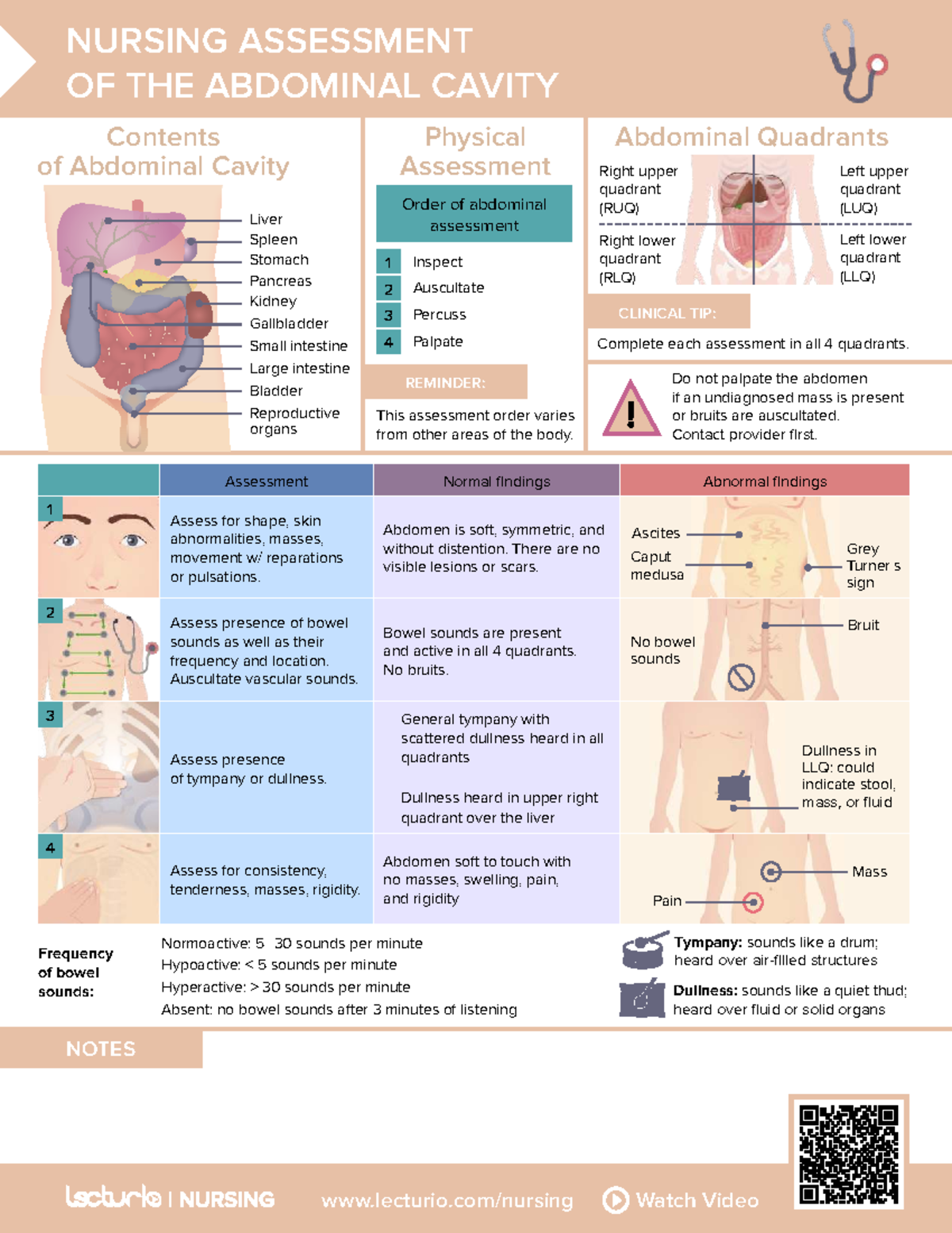 NURSING 03: Abdominal Cavity Assessment Techniques and Findings - Studocu